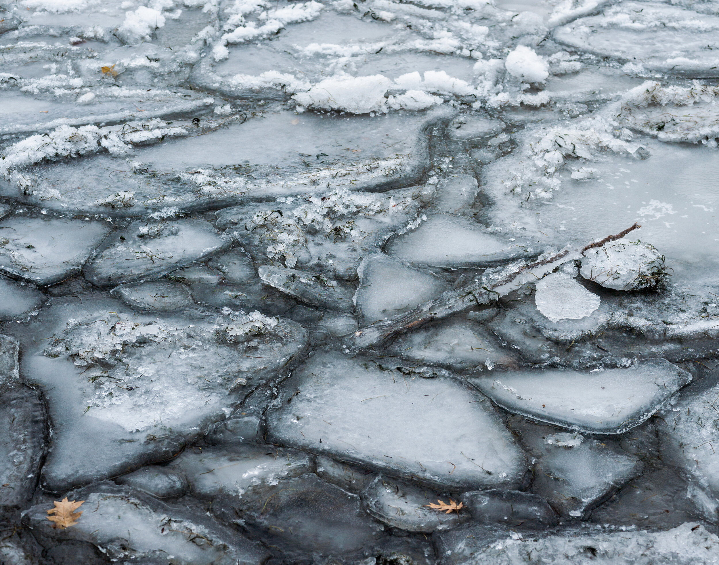 Gilbert_20140125_6534846-Edit.jpg