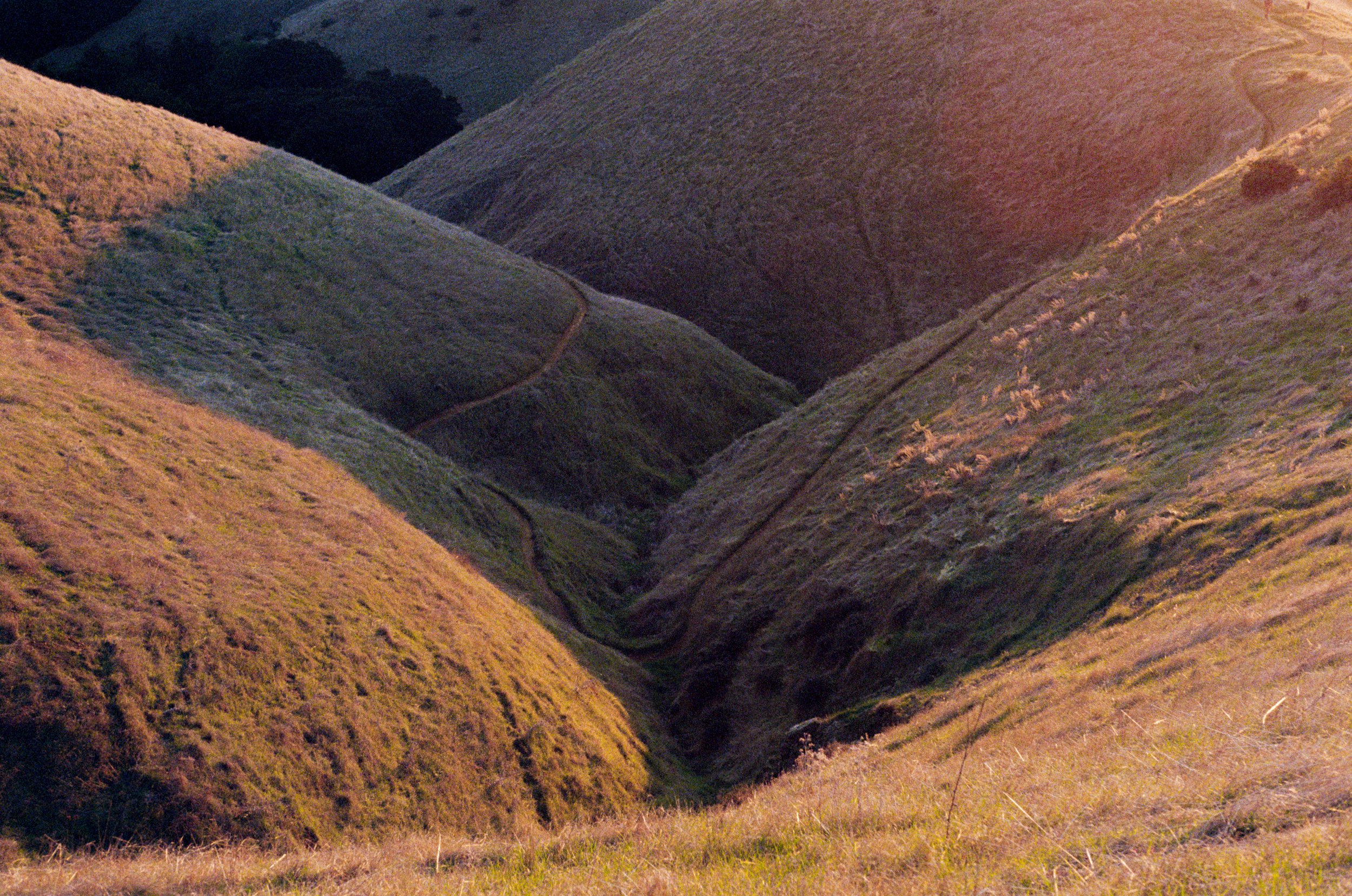 By Sasha Gillespie