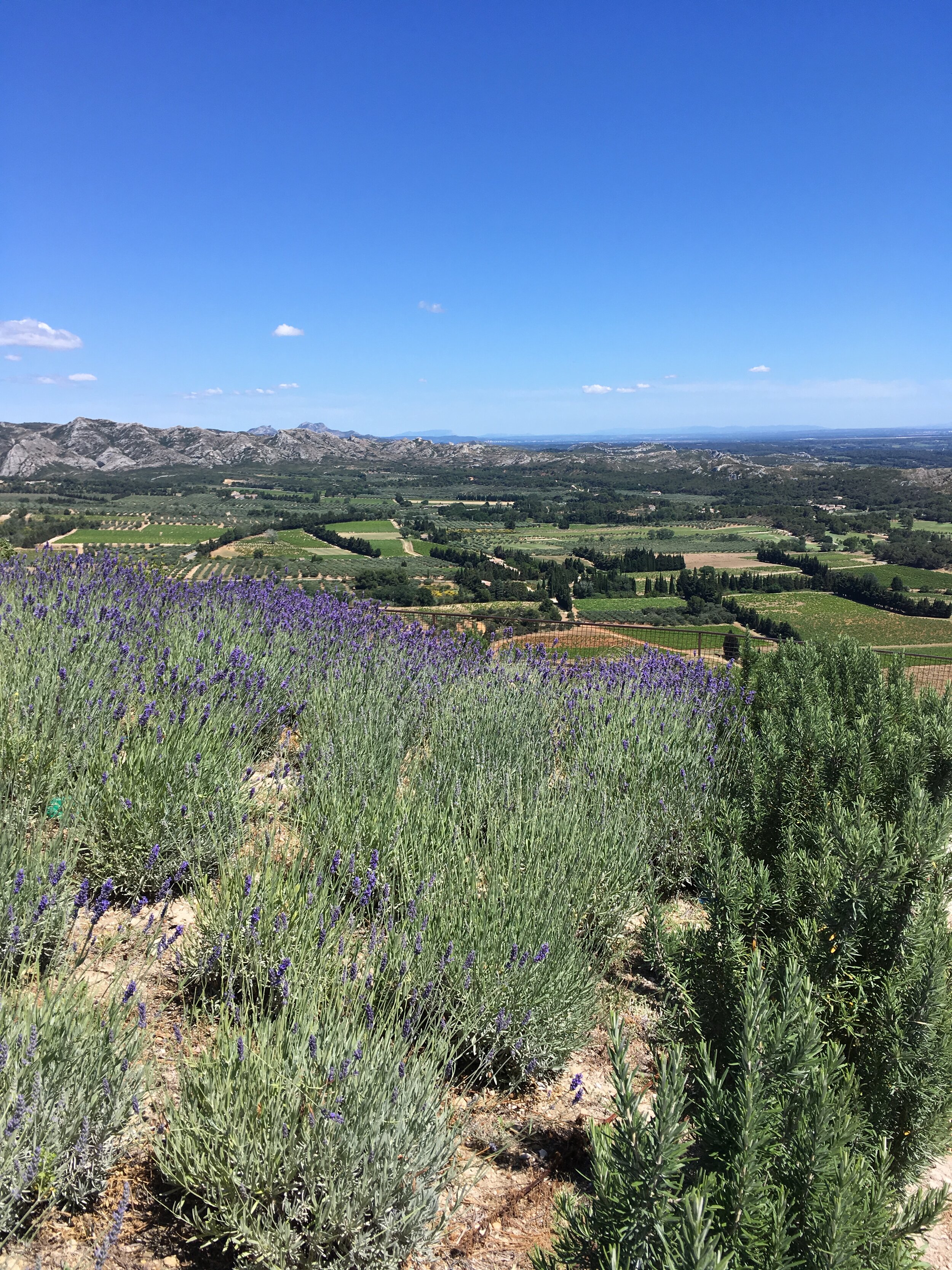 Provence June  2019 026.JPG