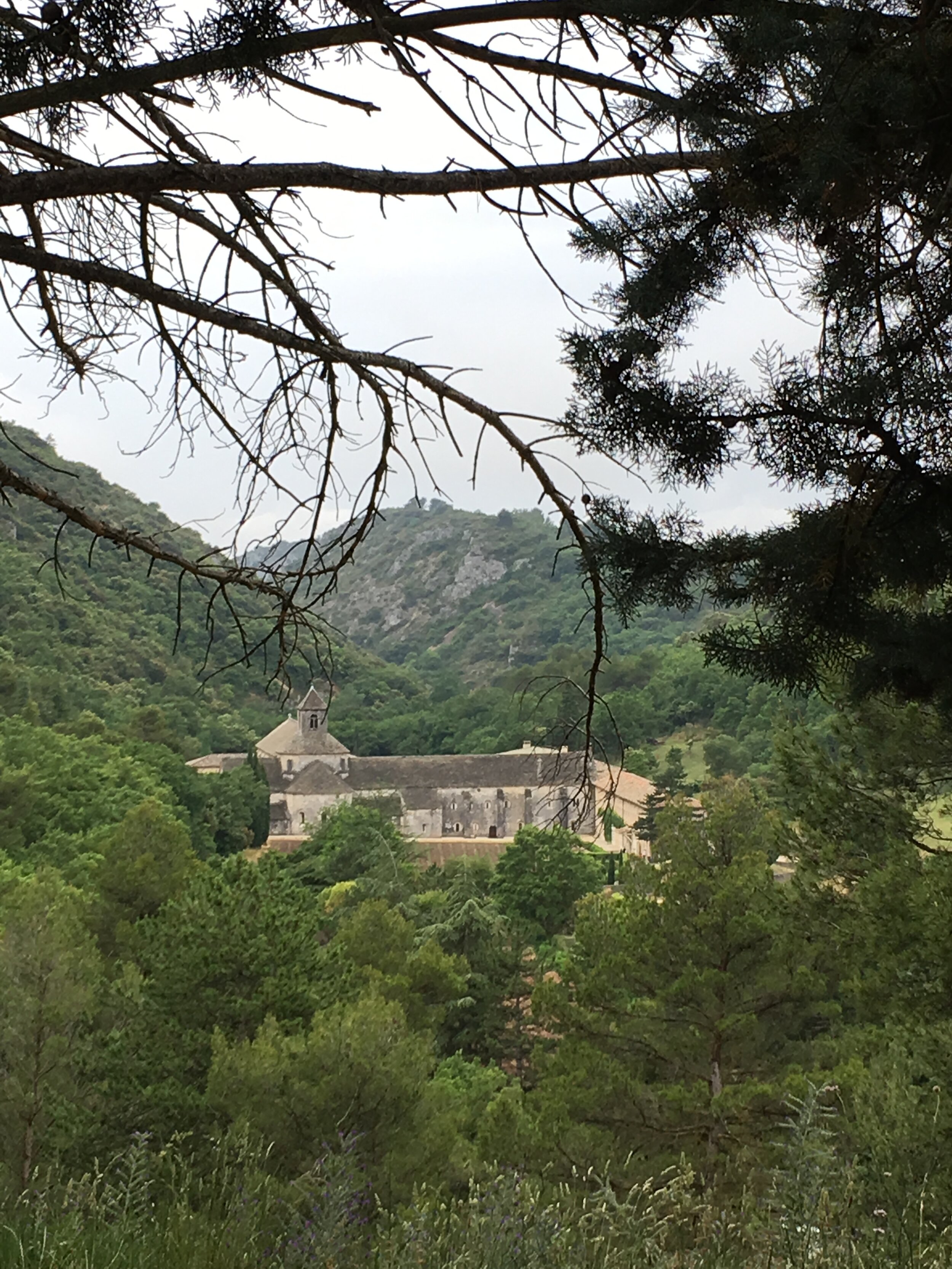 Provence June  2019 006.JPG