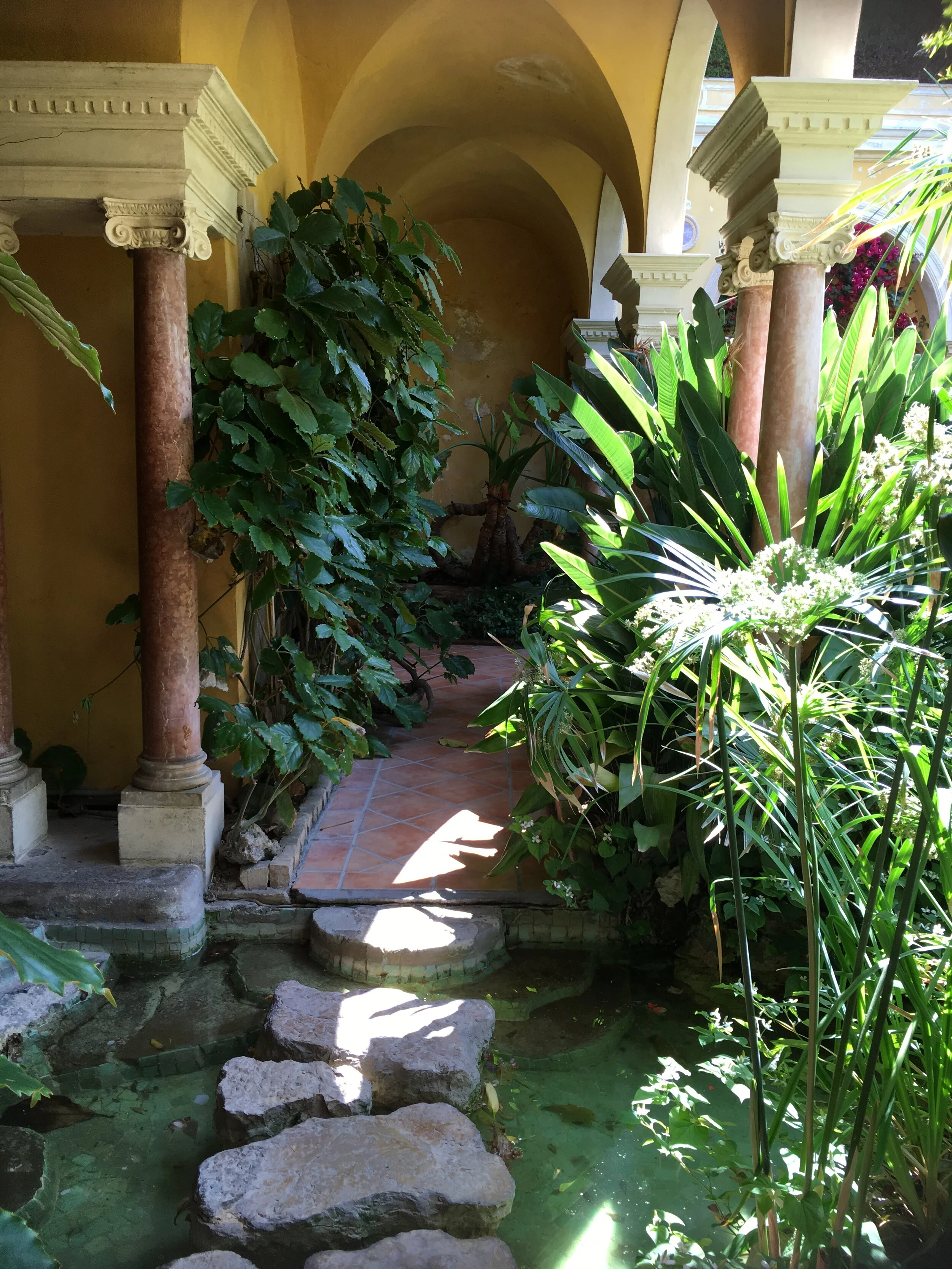 Provence June  2019 202.JPG