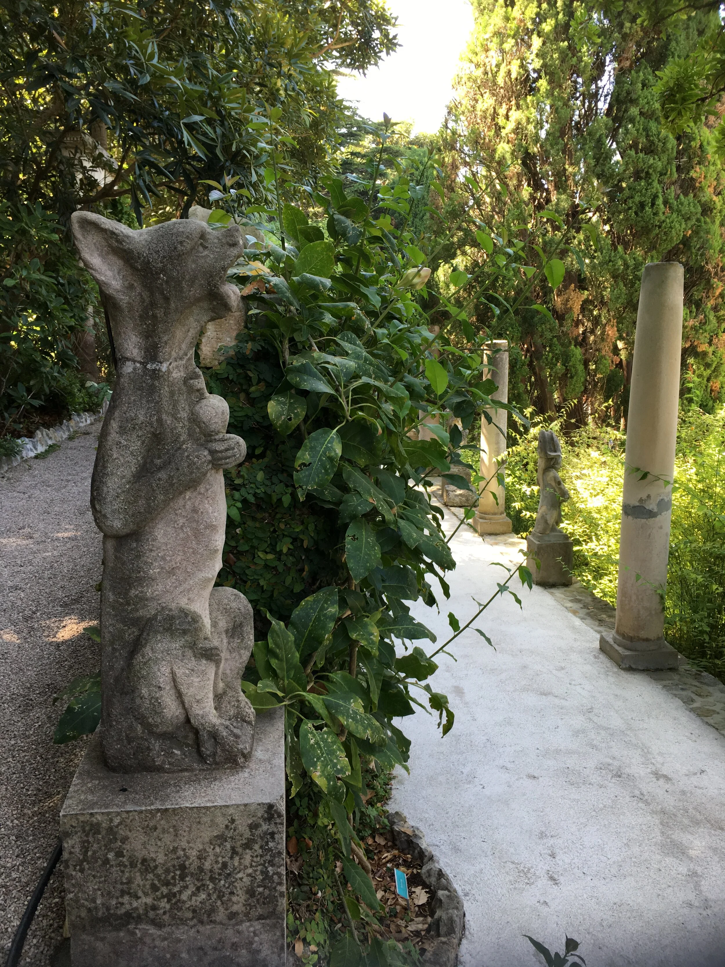 Provence June  2019 211.JPG