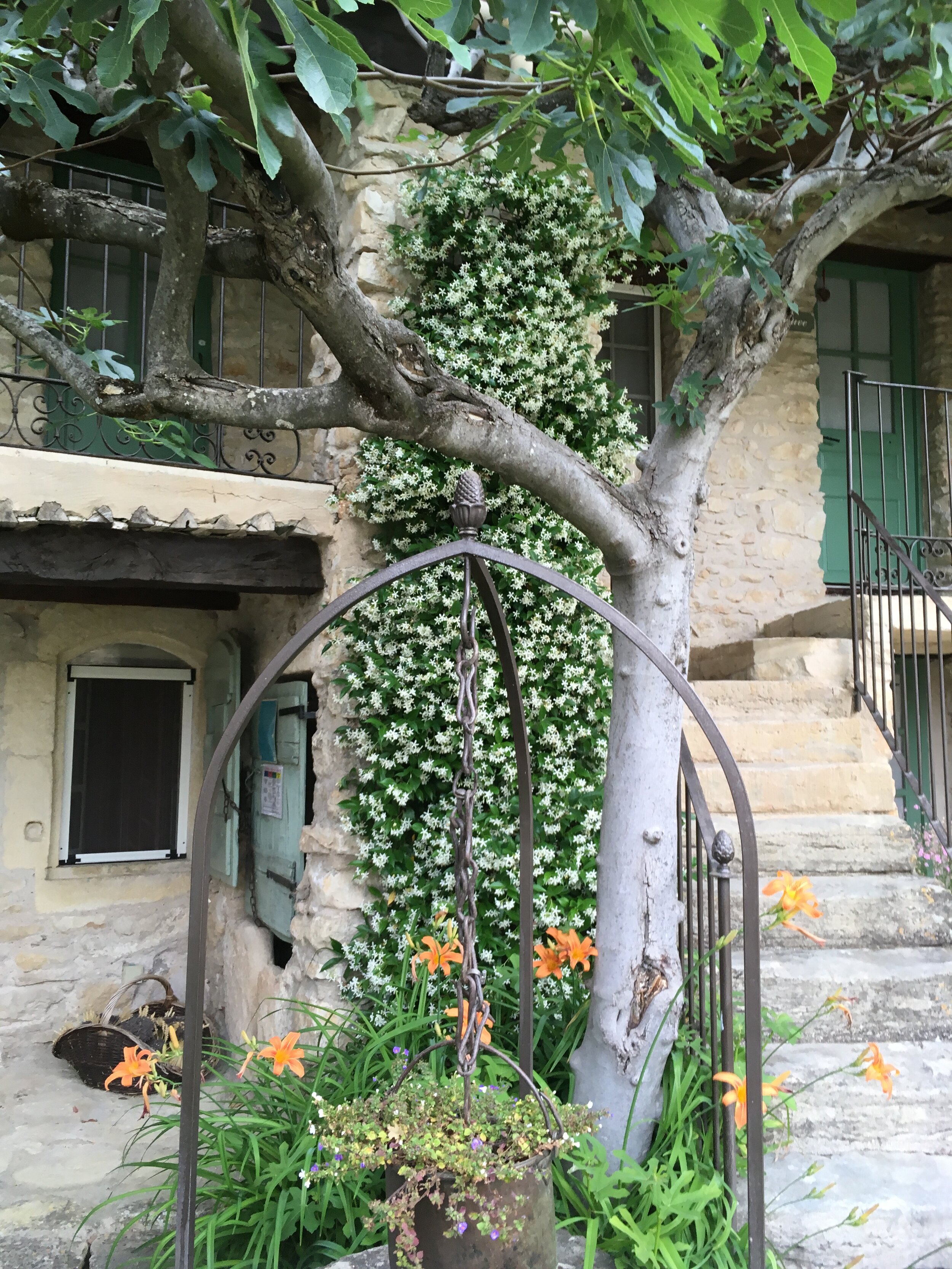 Provence June  2019 126.JPG