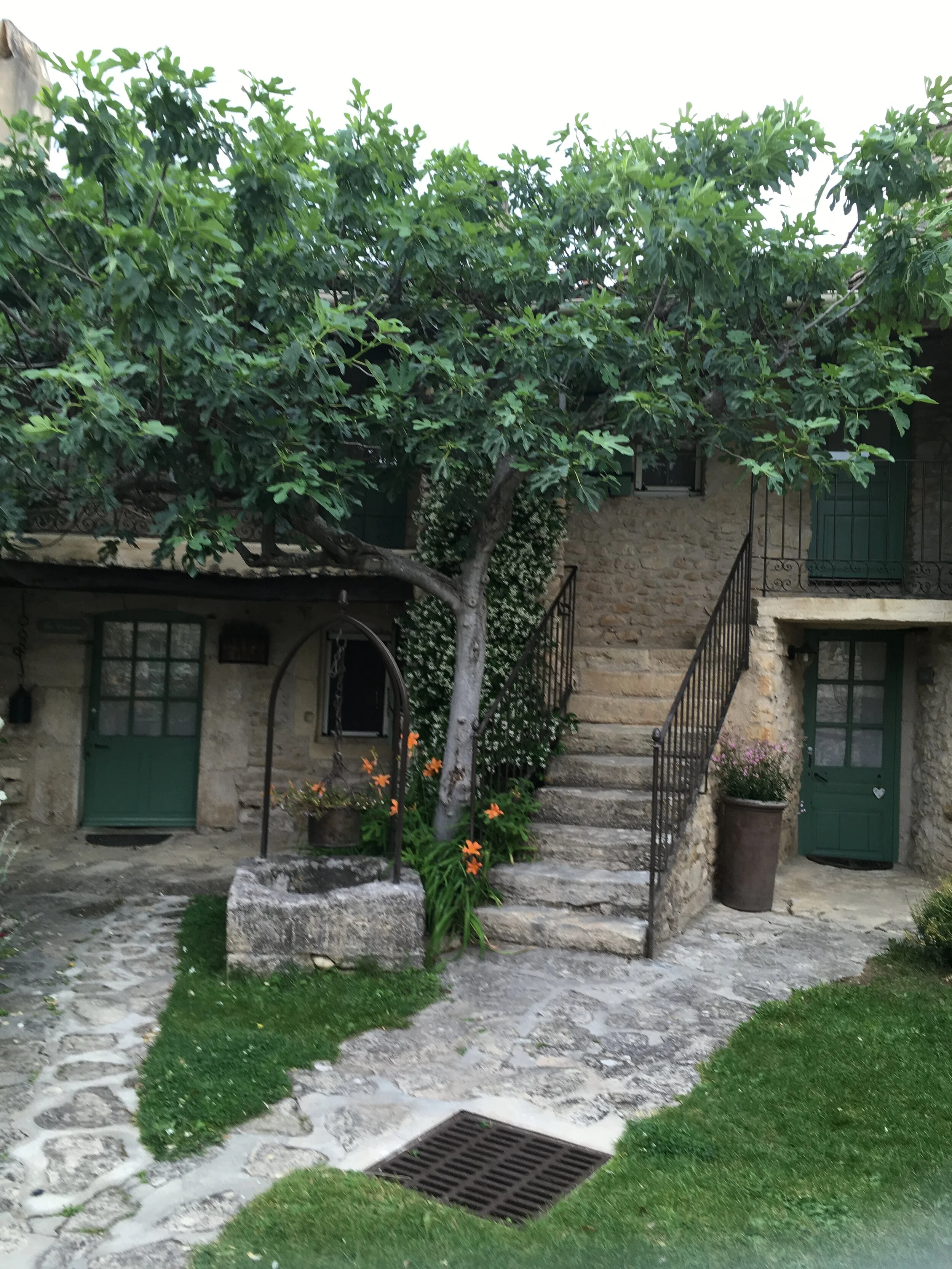 Provence June  2019 128.JPG