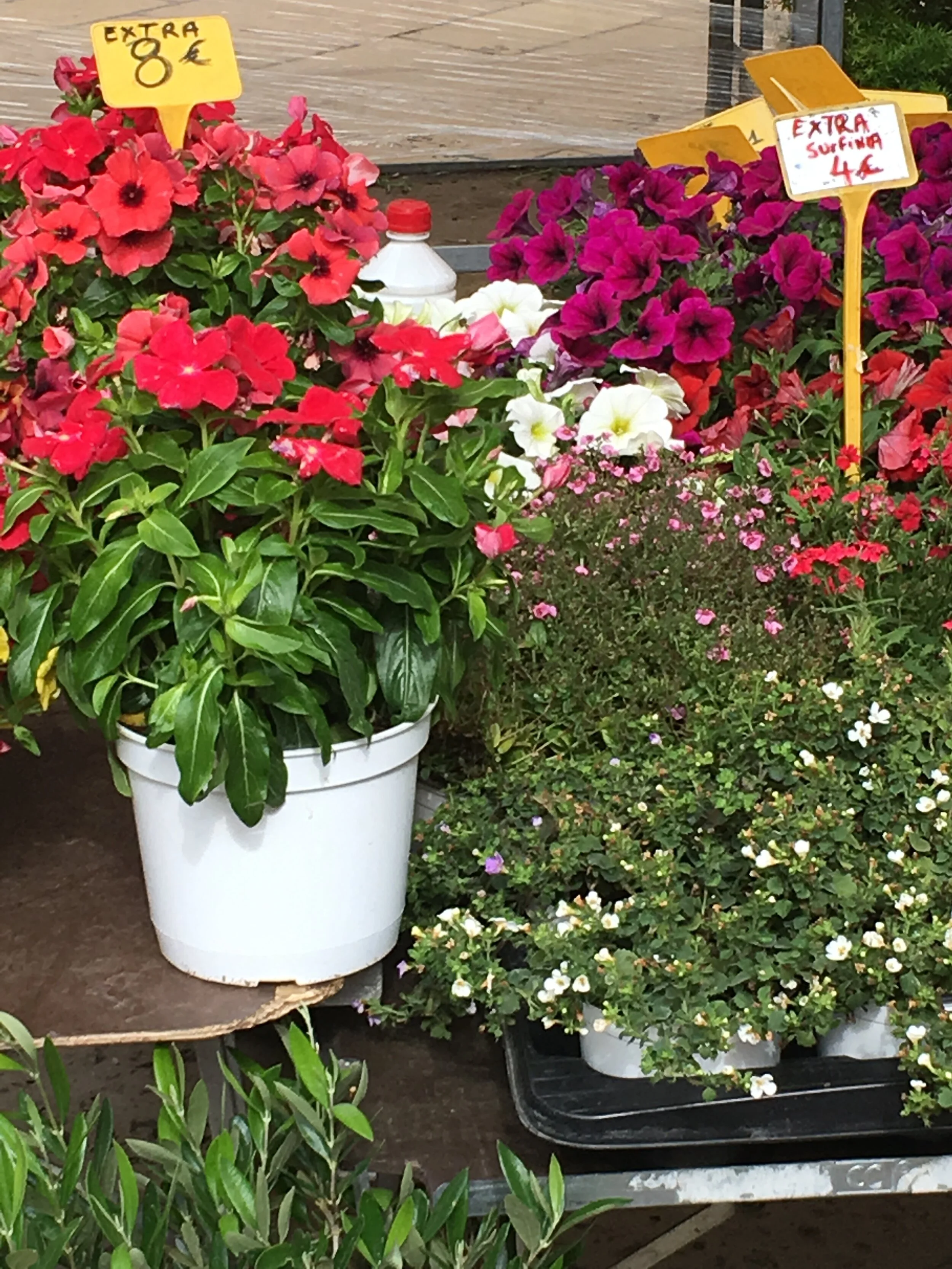 Provence June  2019 152.JPG