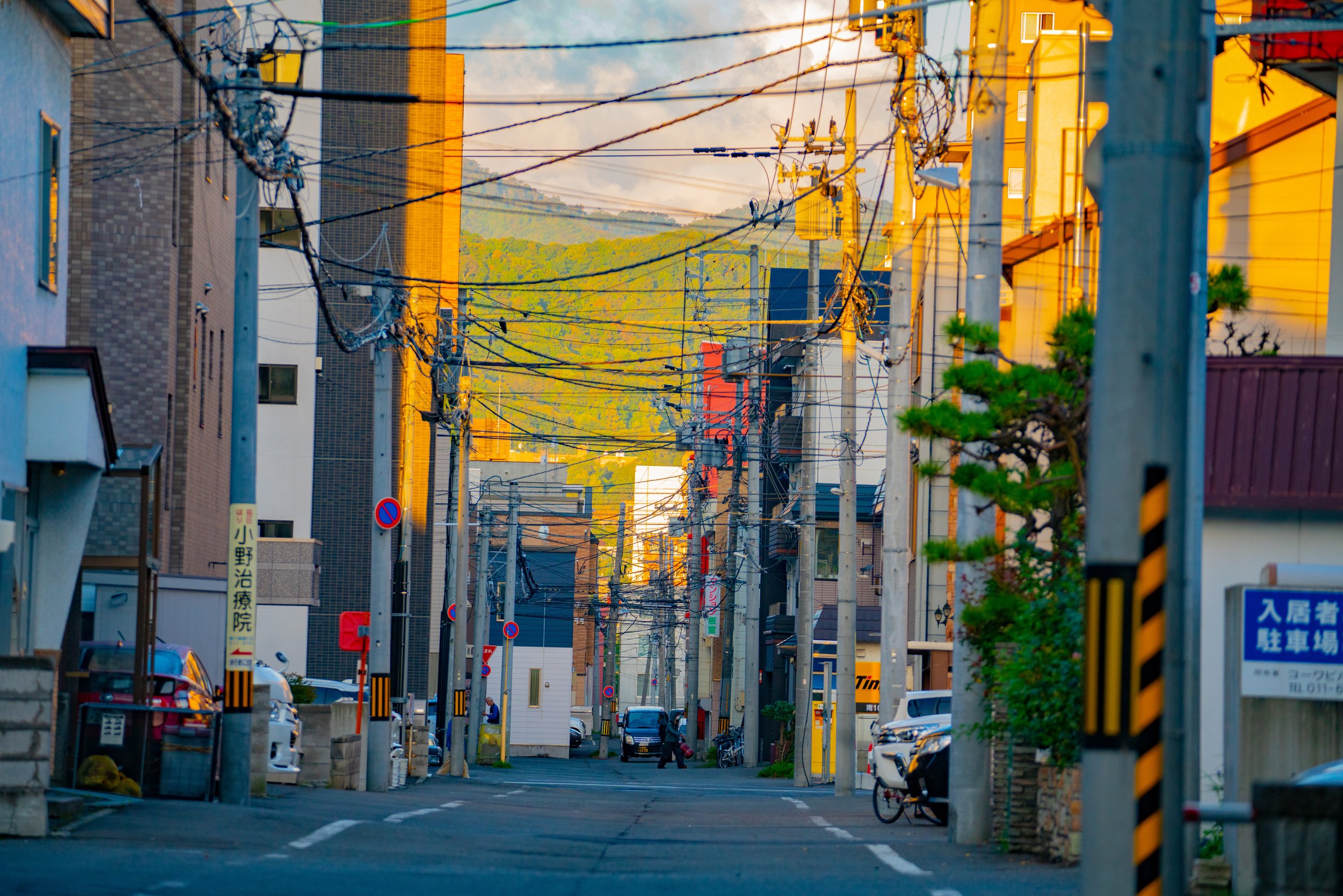 _A734783.jpg