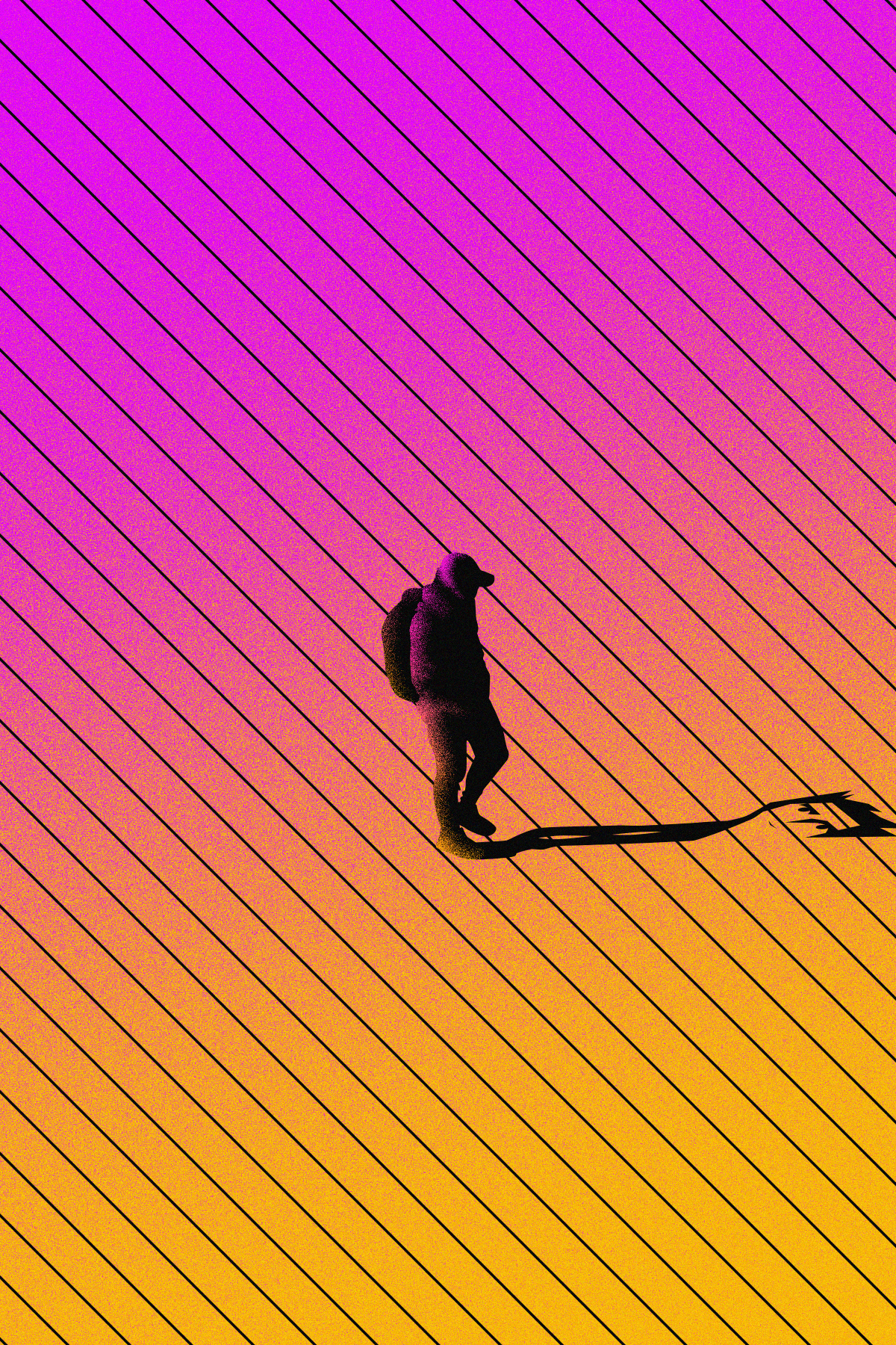 WANDER