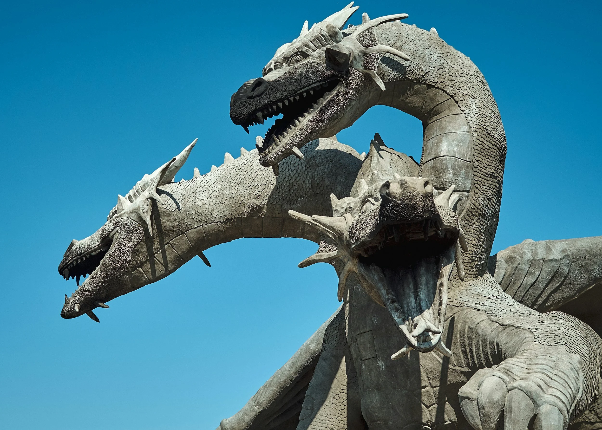 Dungeons &amp; Dragons (Youth)