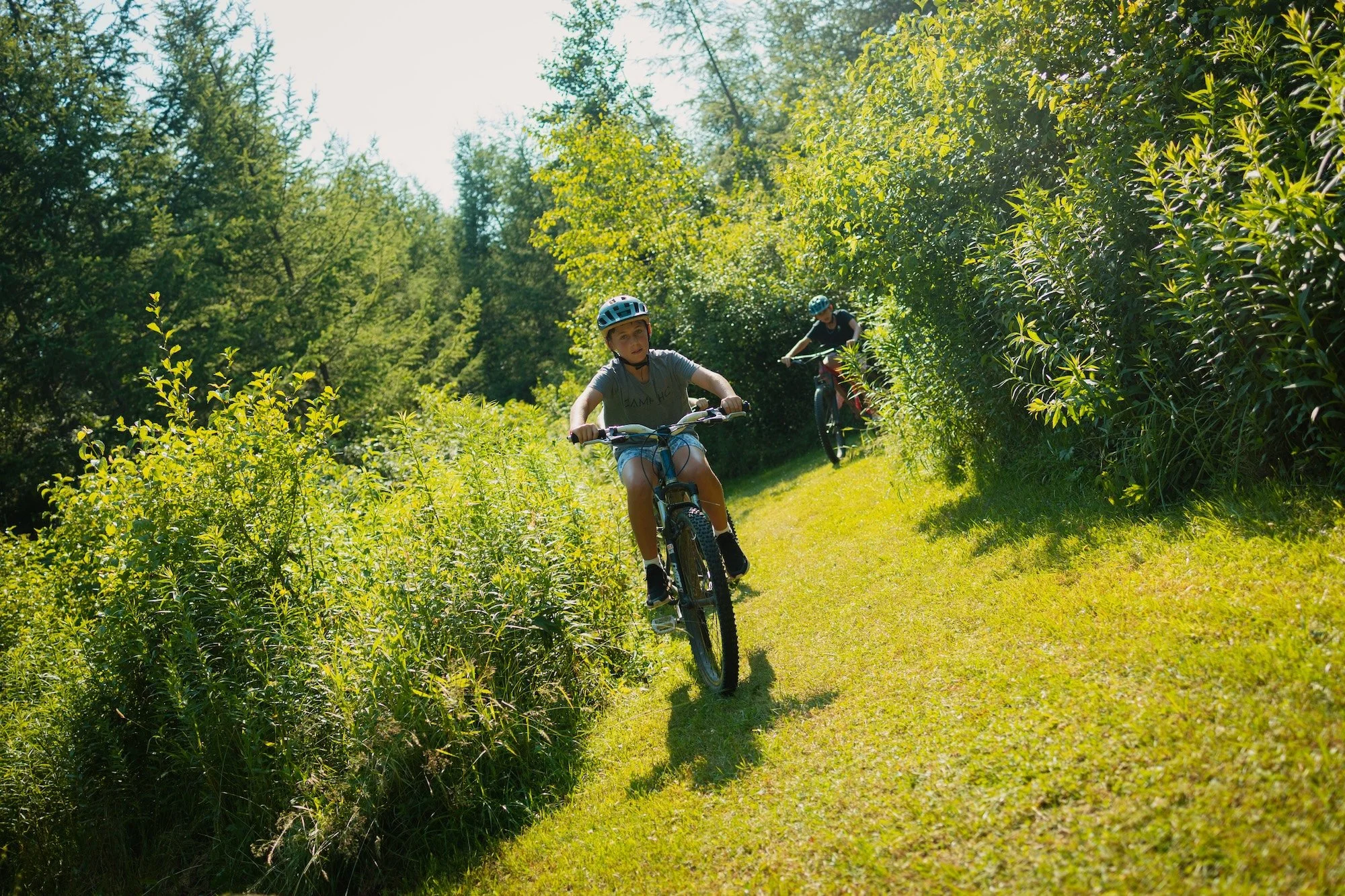 Two children riding bicycles on a dirt path through a lush green forest.