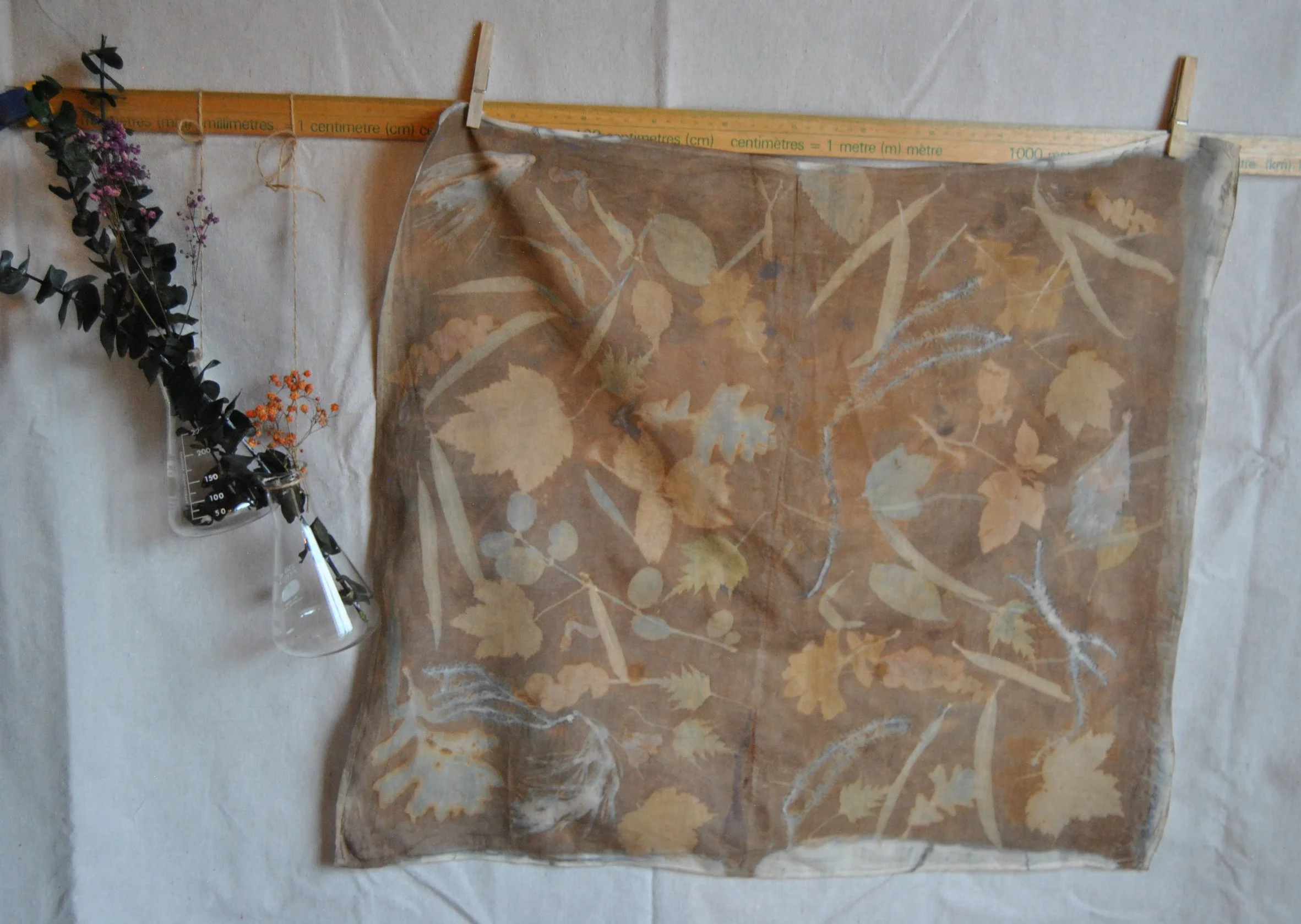 Organic Cotton Bandana