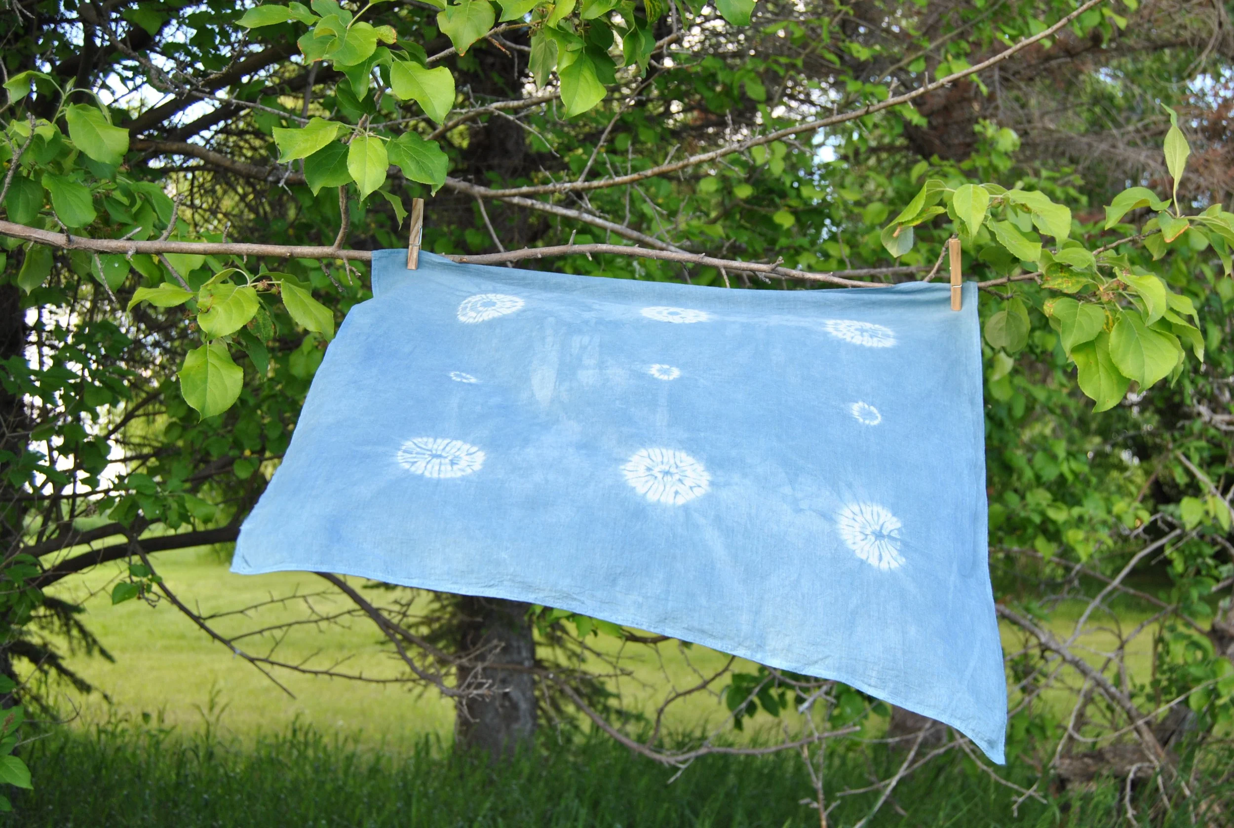 Organic Cotton Bandana