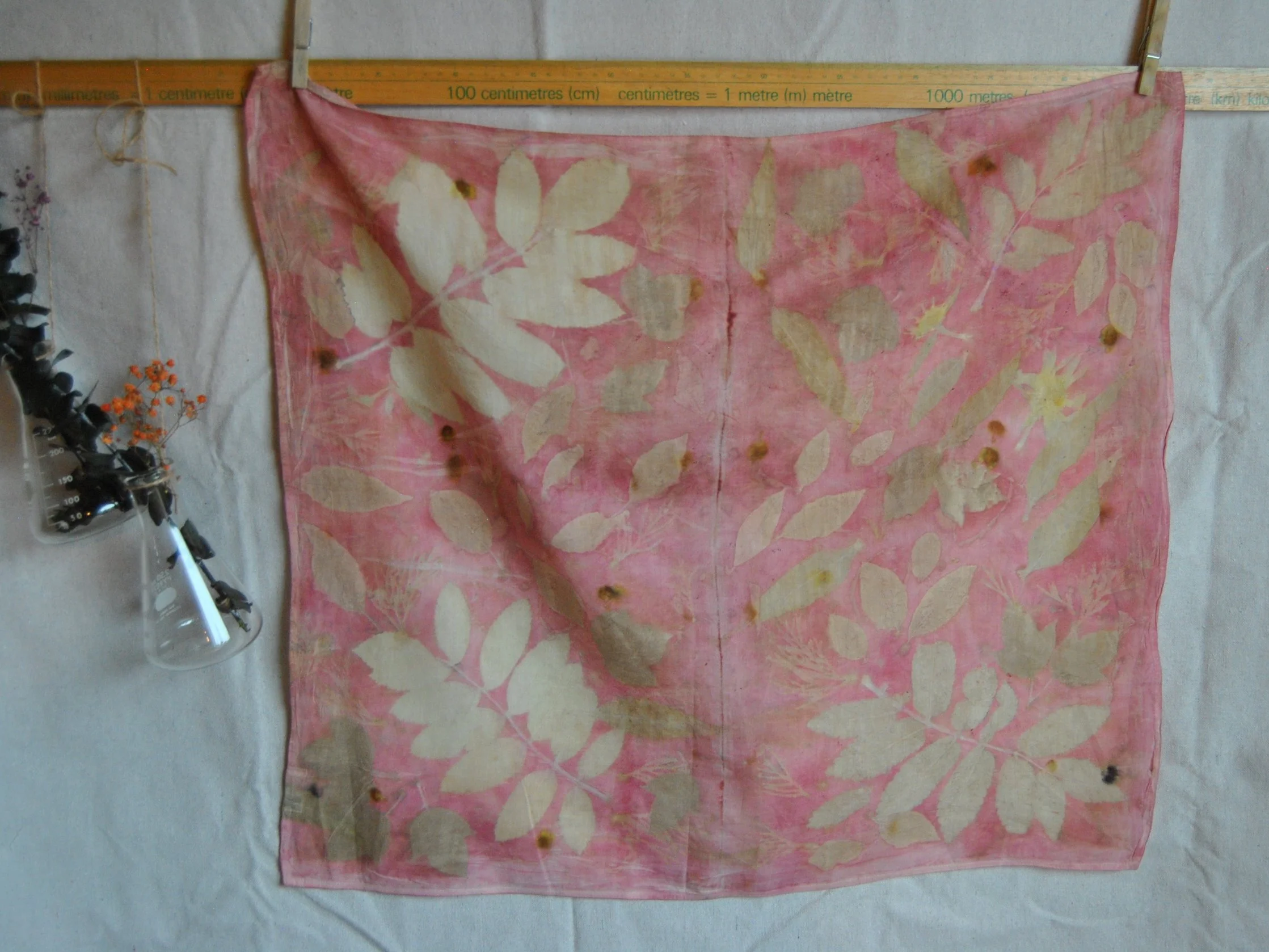 Organic Cotton Bandana