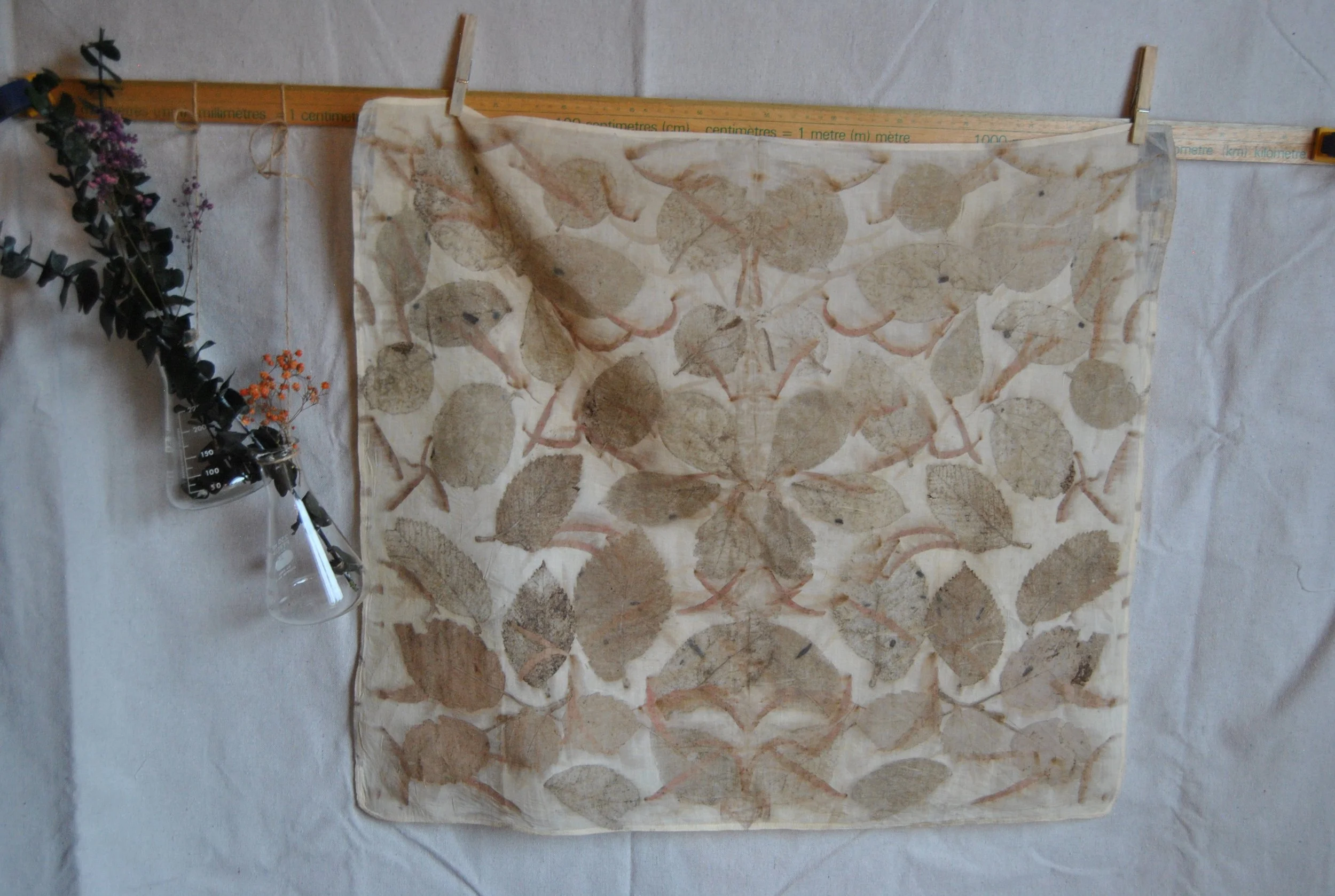 Organic Cotton Bandana