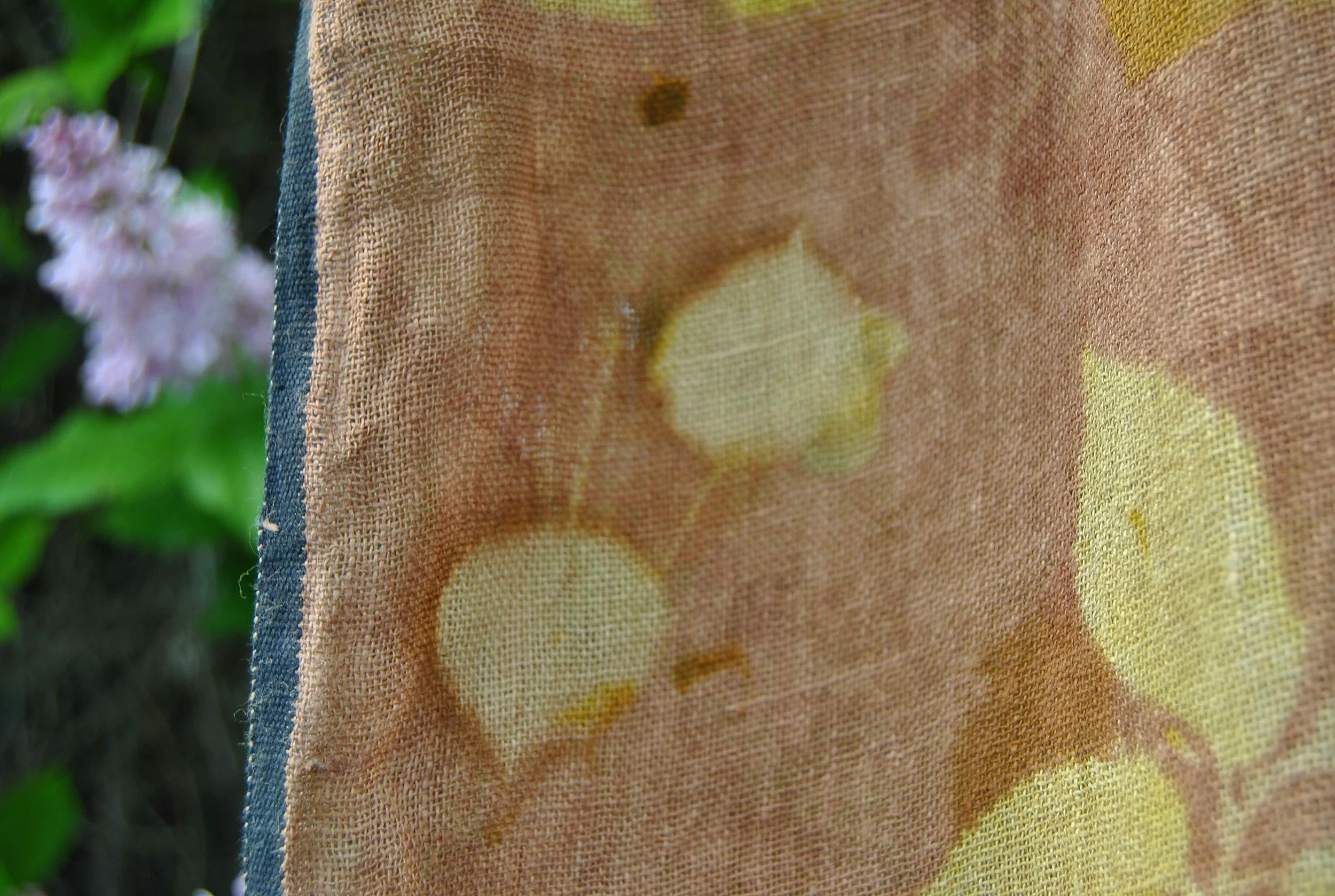 DSC_0044.png