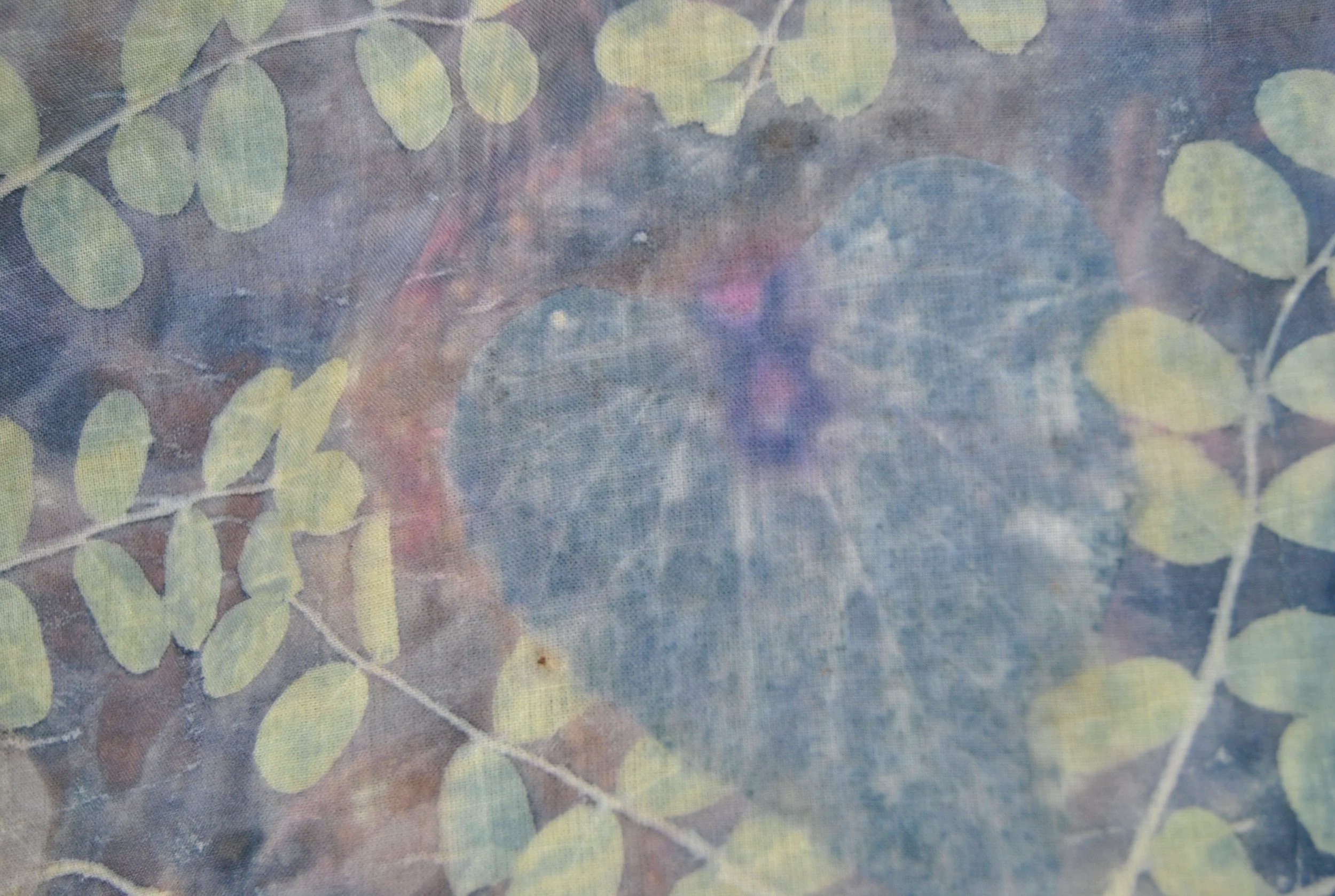 DSC_0138.png