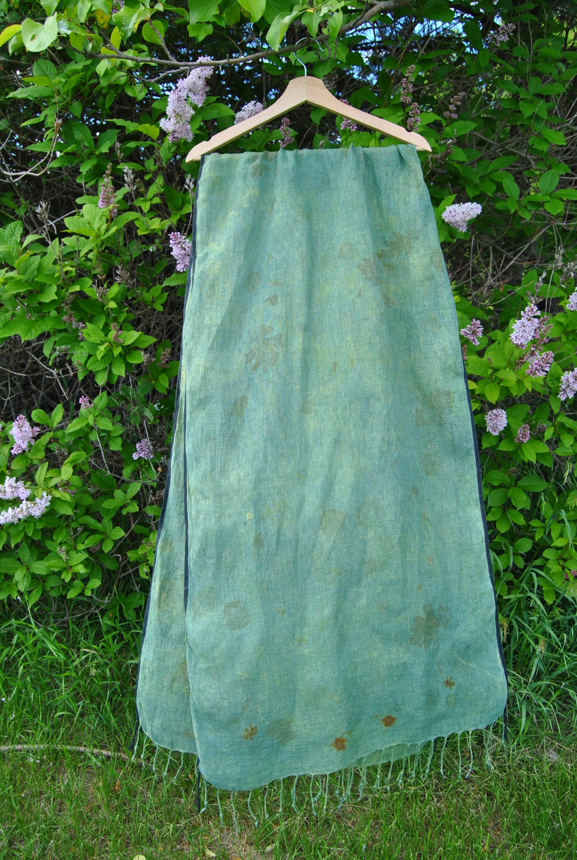 DSC_0068.png