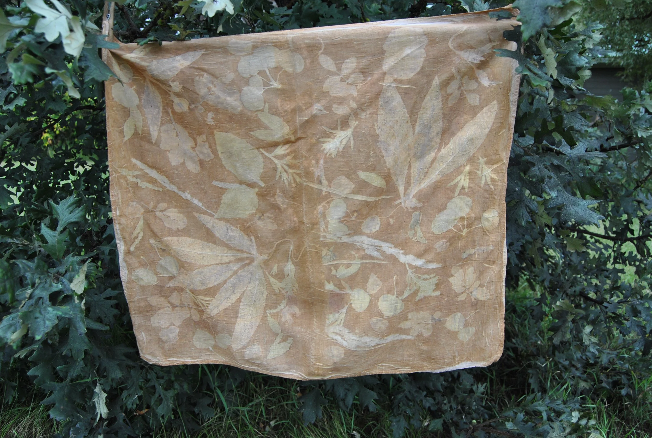 Cotton Bandana