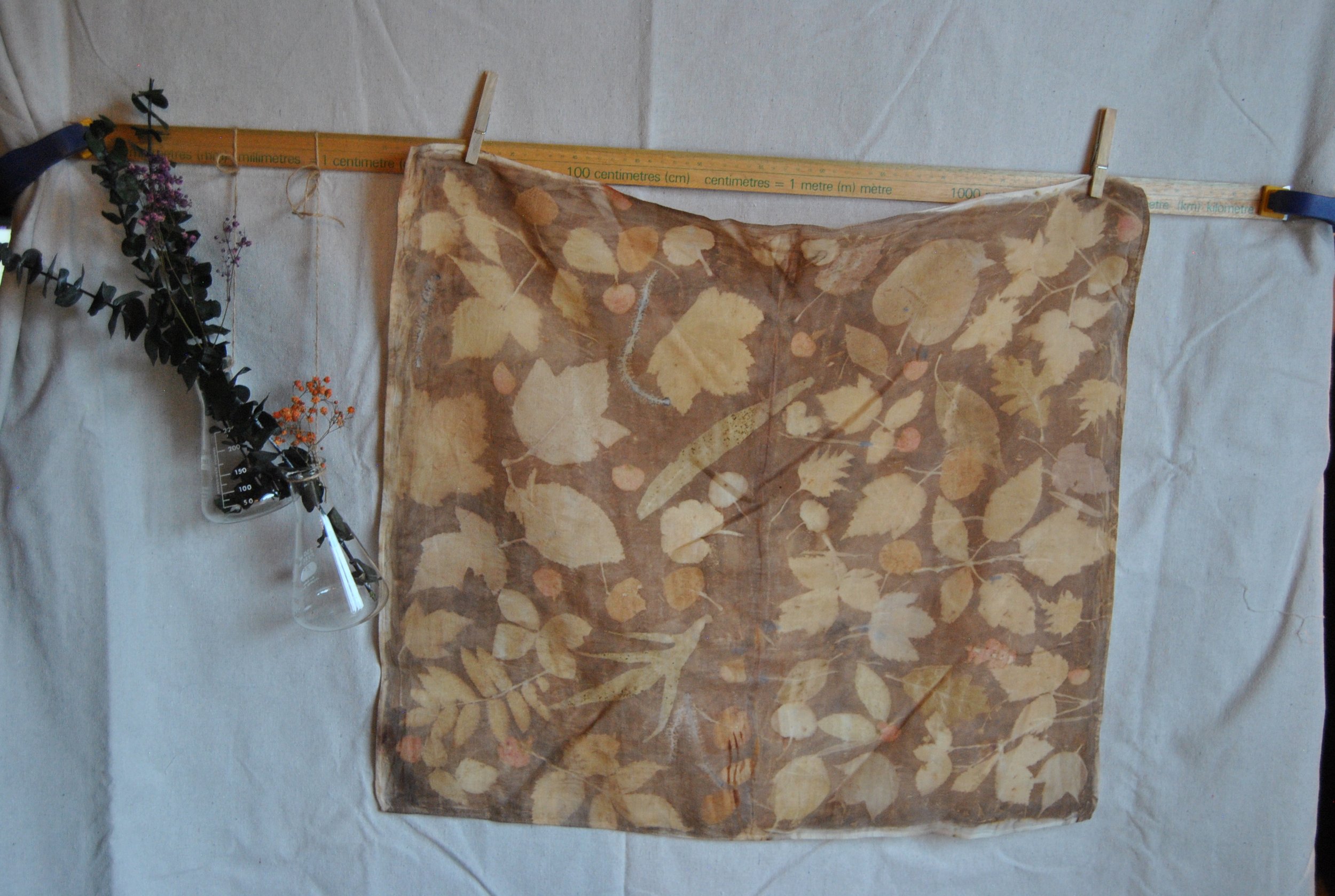 Organic Cotton Bandana