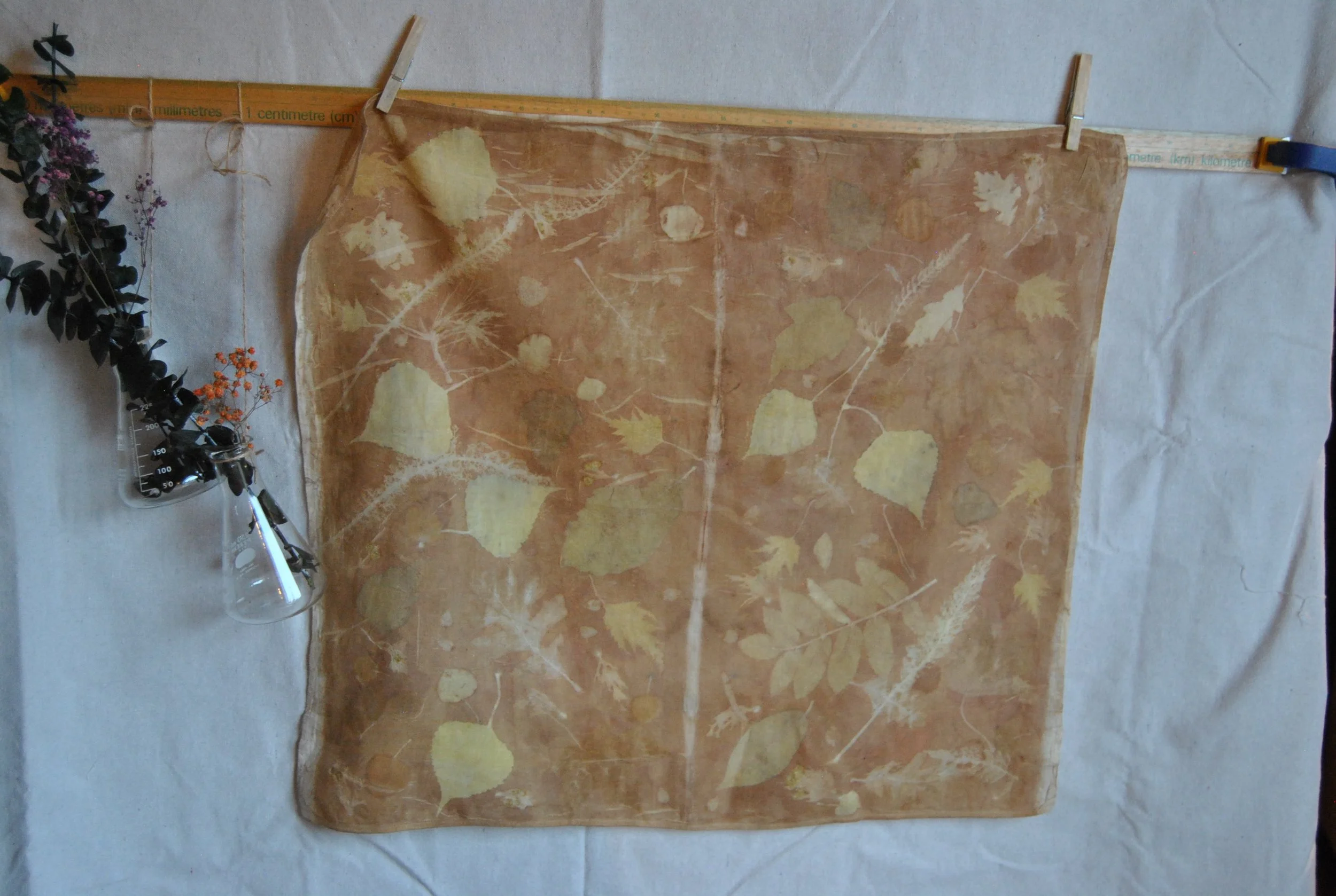 Organic Cotton Bandana