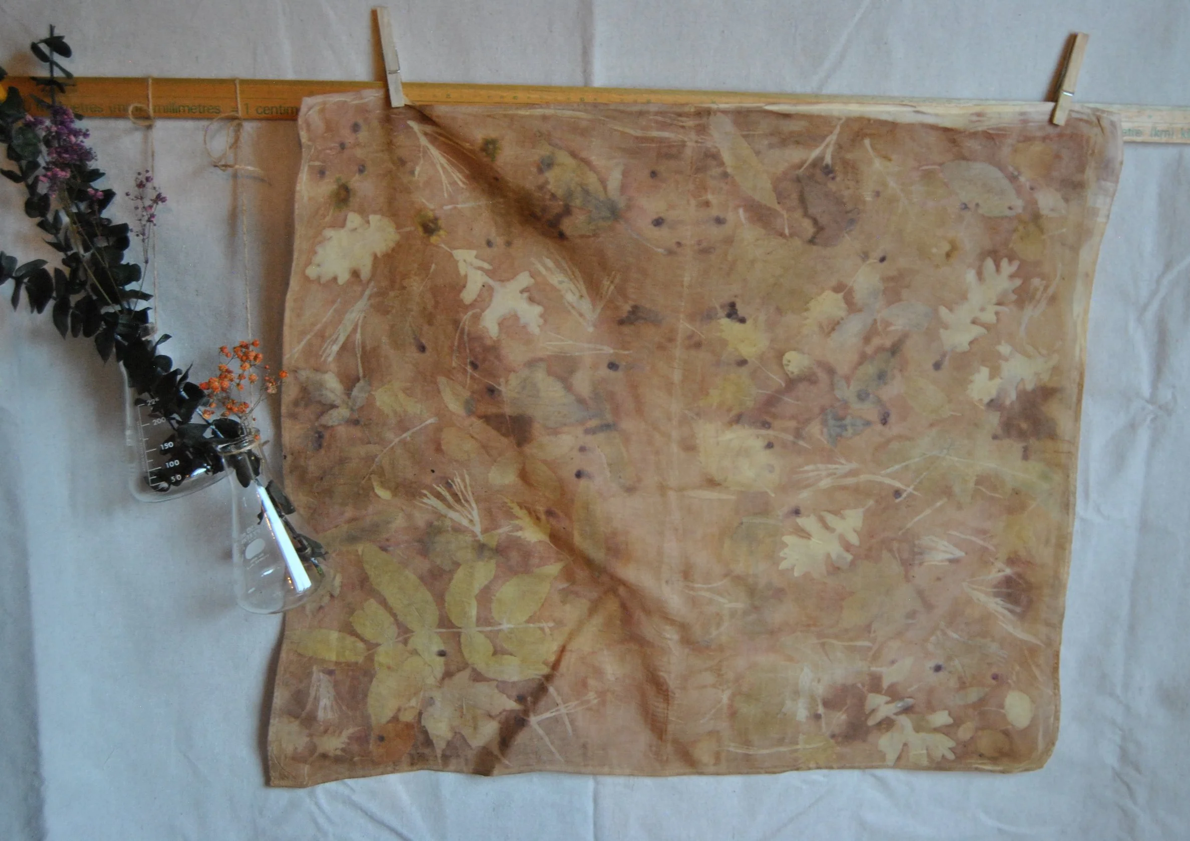 Organic Cotton Bandana