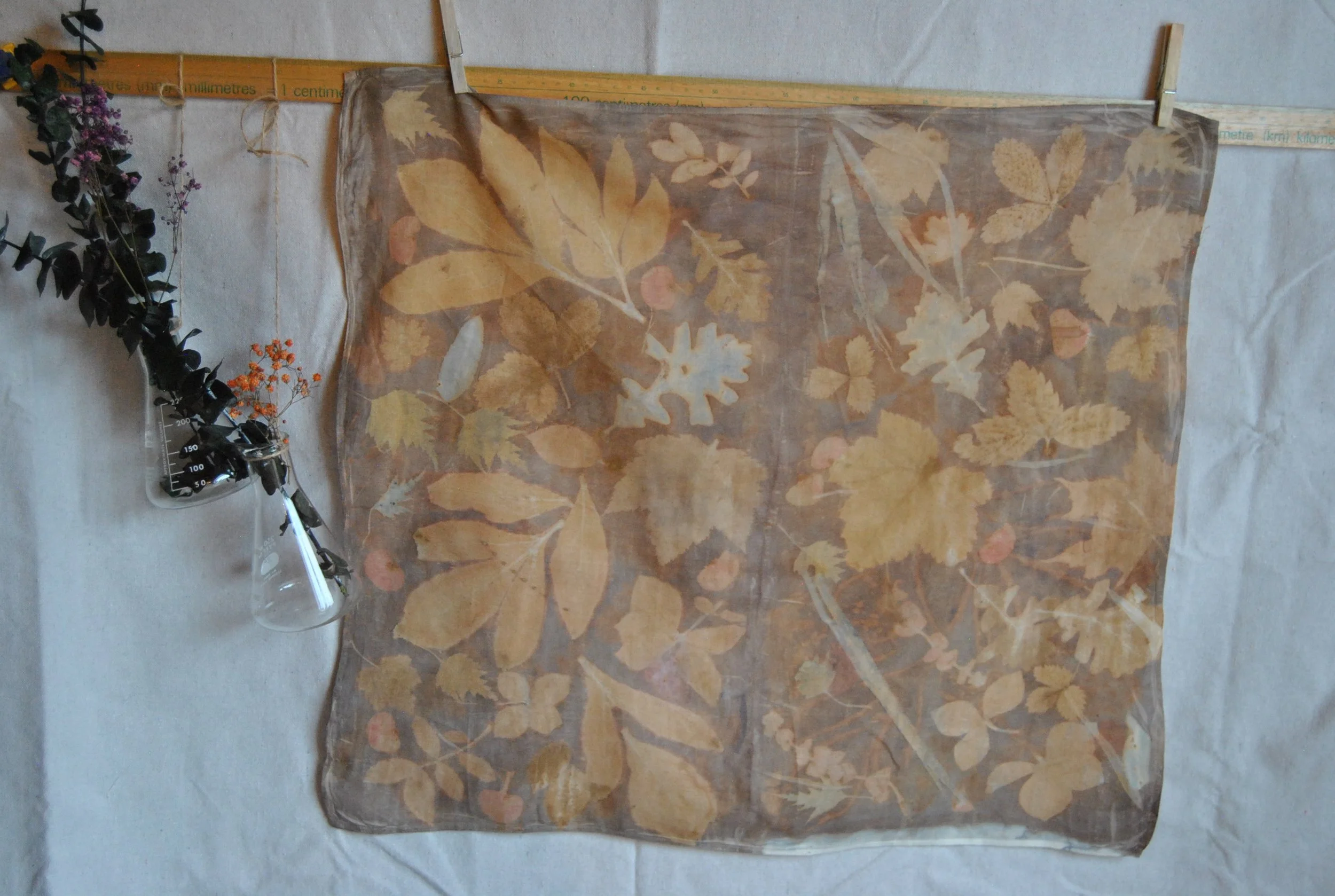 Organic Cotton Bandana