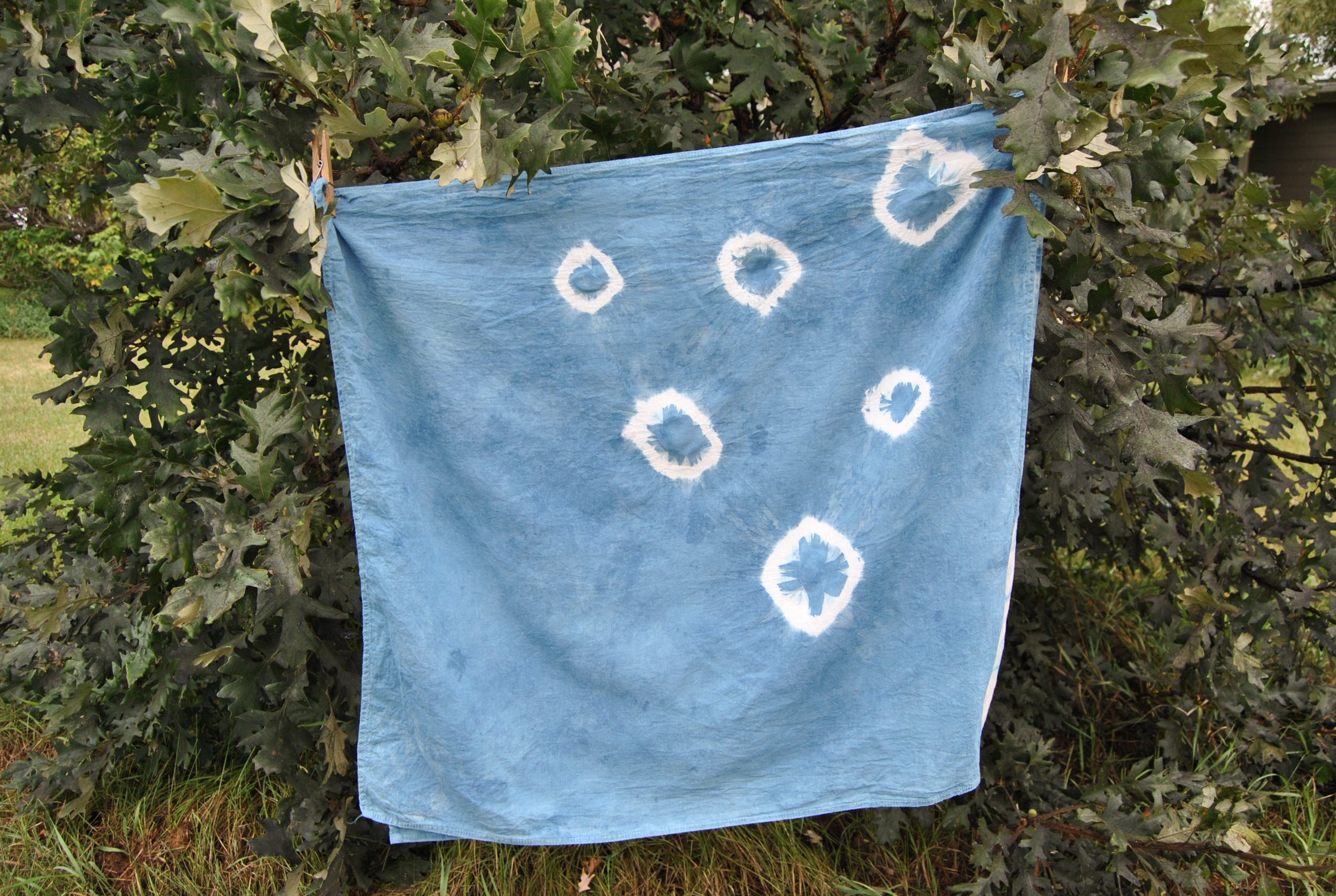 Cotton Bandana