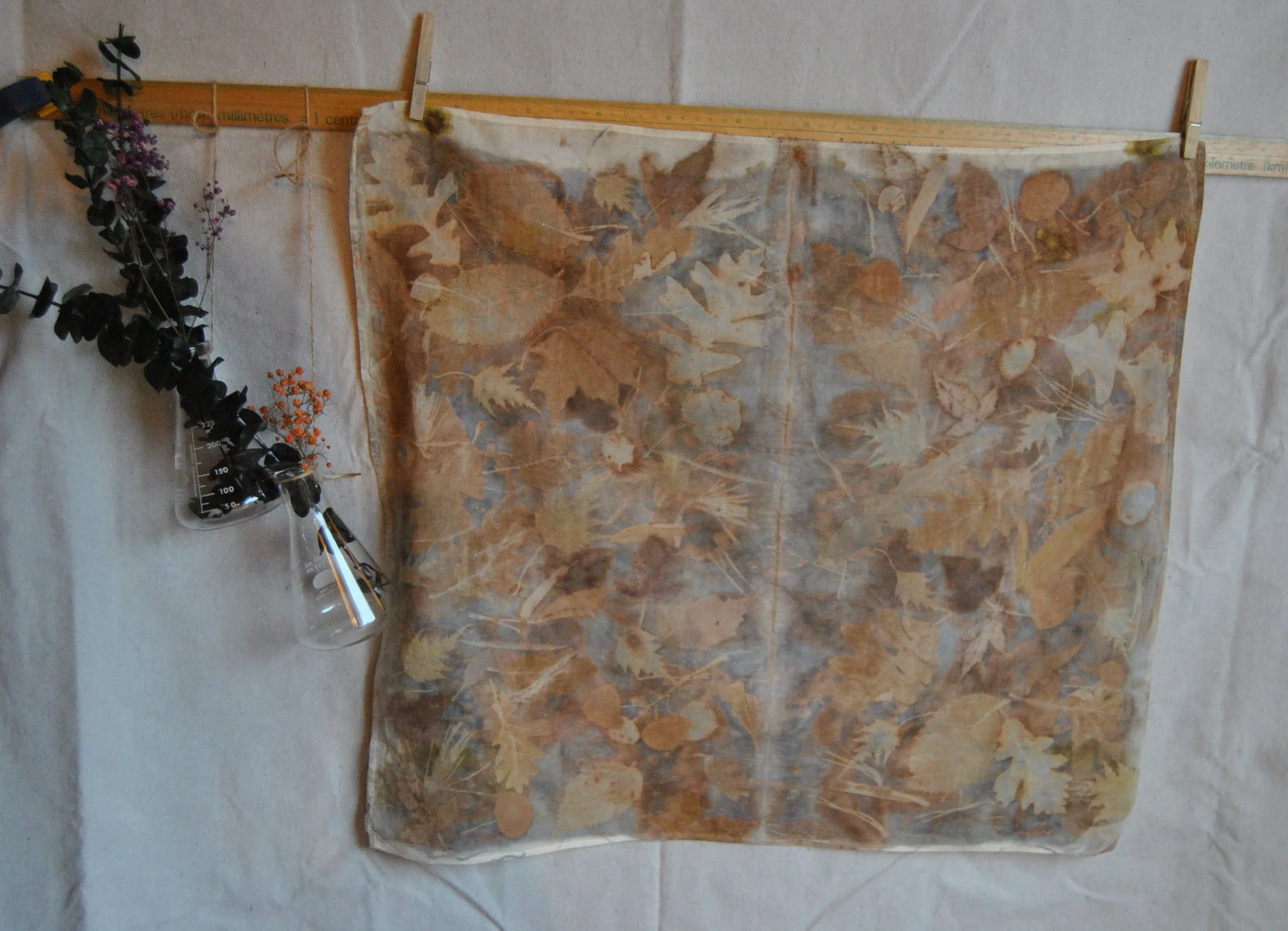 Organic Cotton Bandana