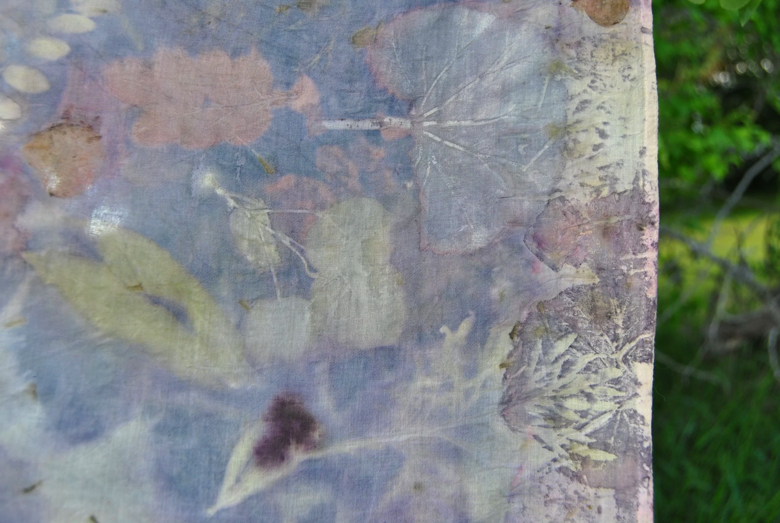 DSC_0175.png