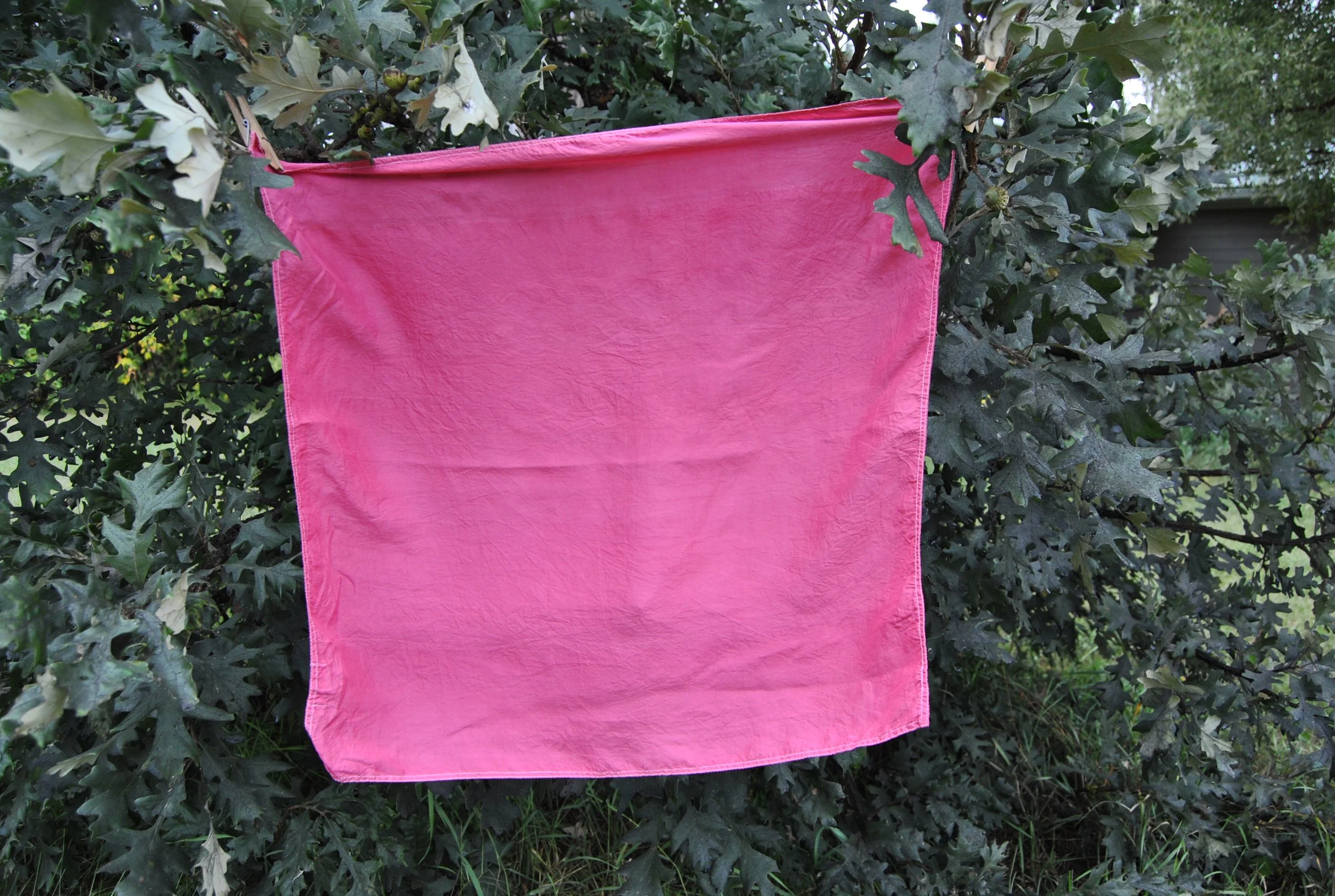Mulberry Silk Scarf