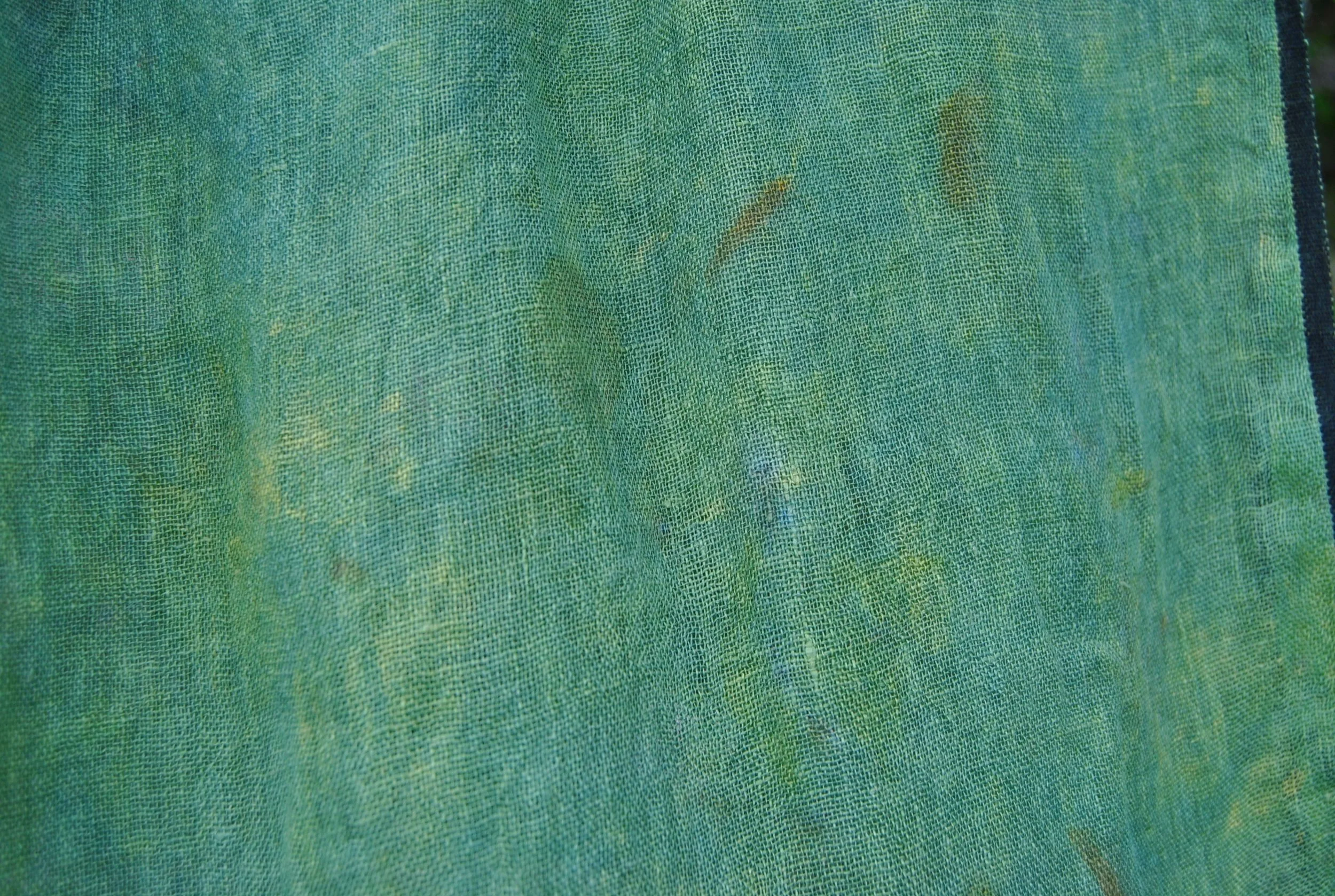 DSC_0067.png