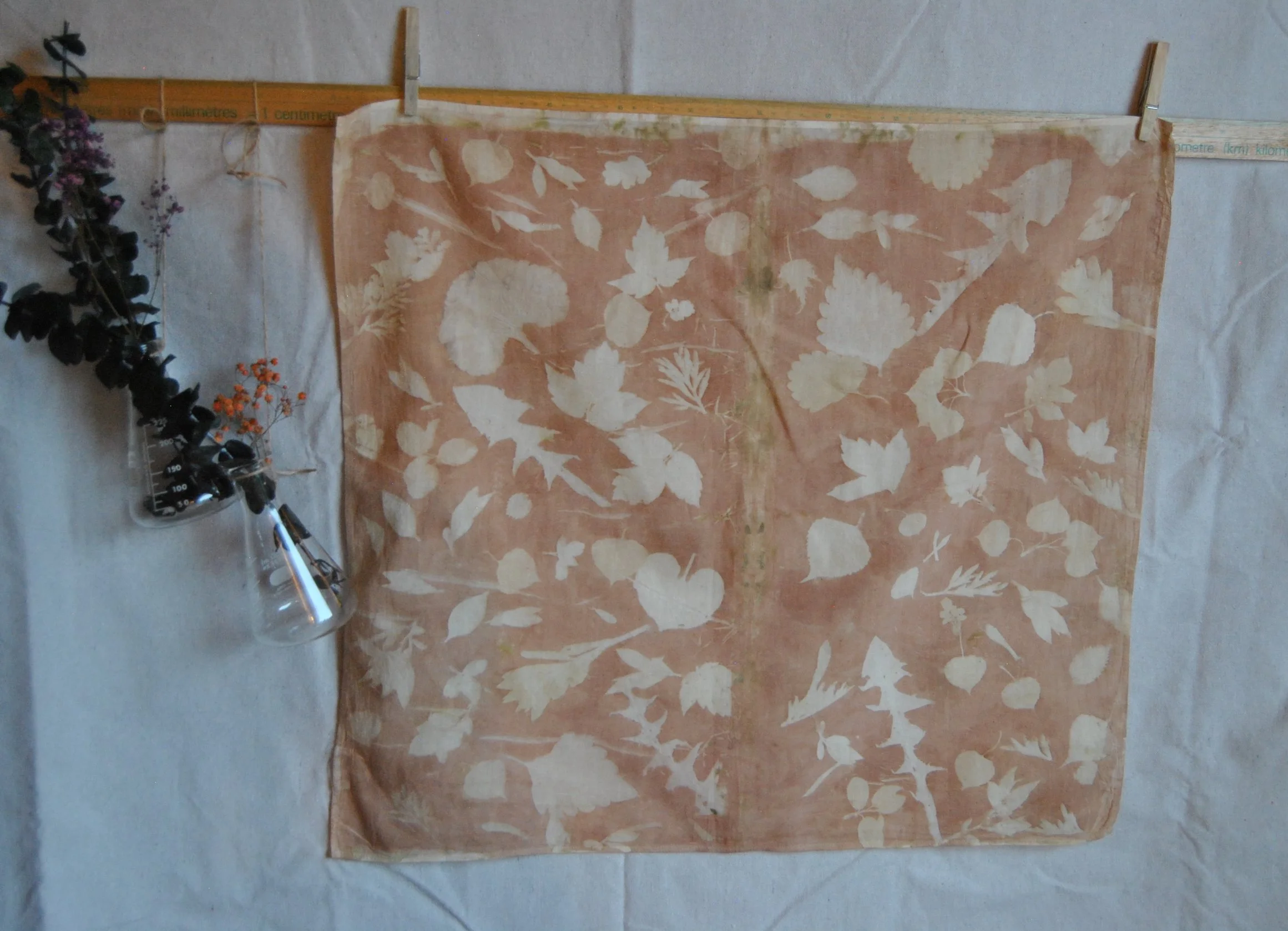 Organic Cotton Bandana