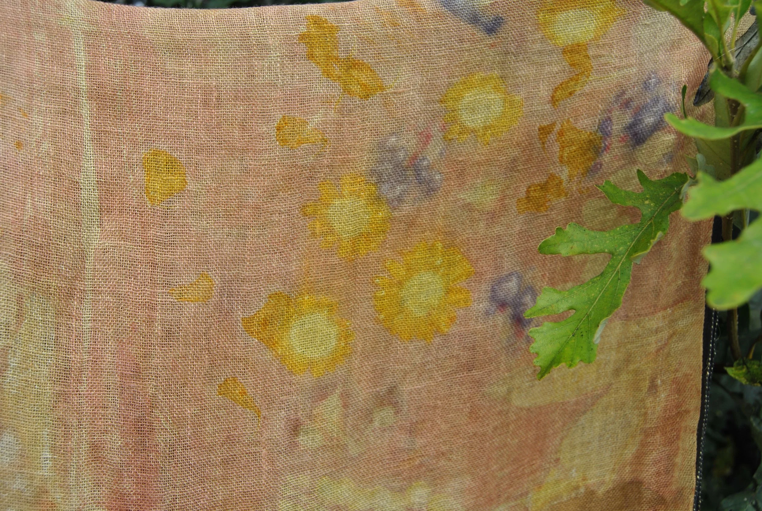 DSC_0349.JPG