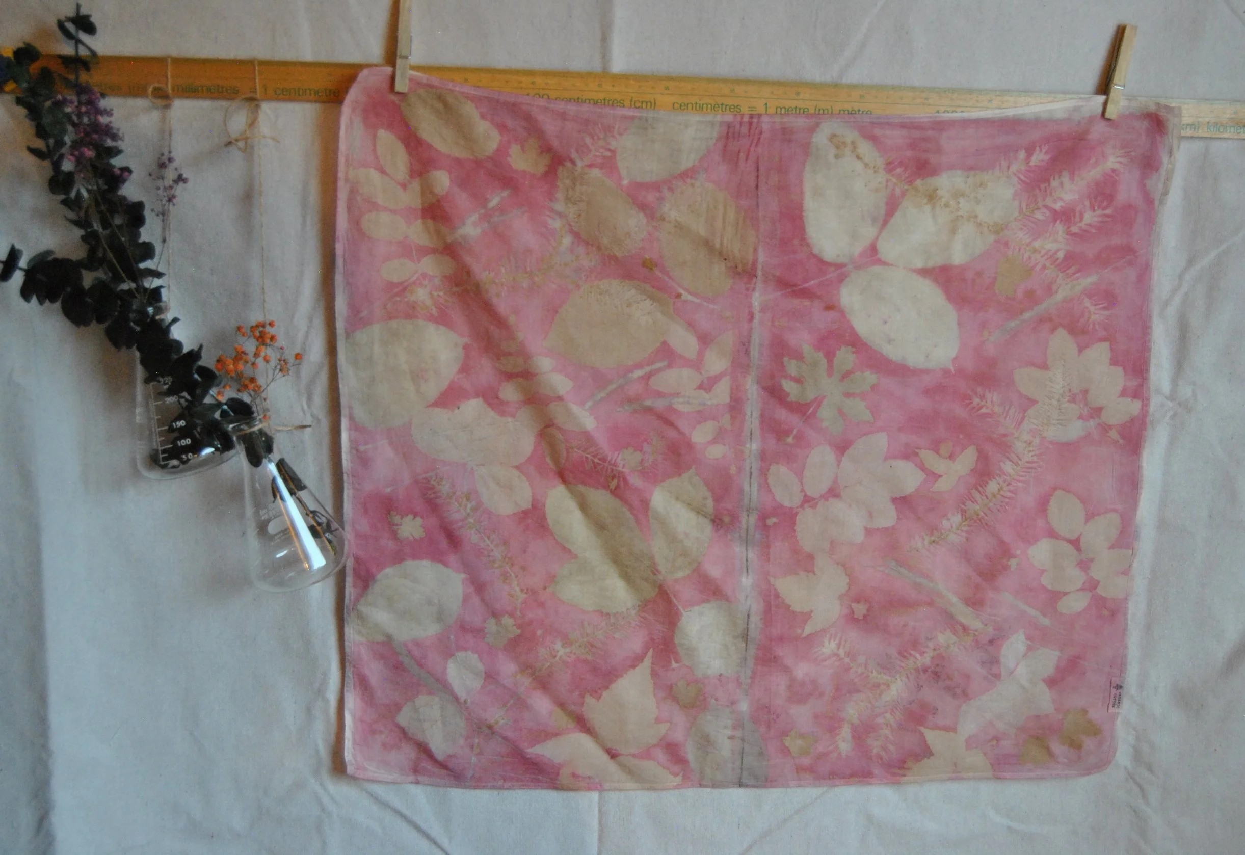 Organic Cotton Bandana