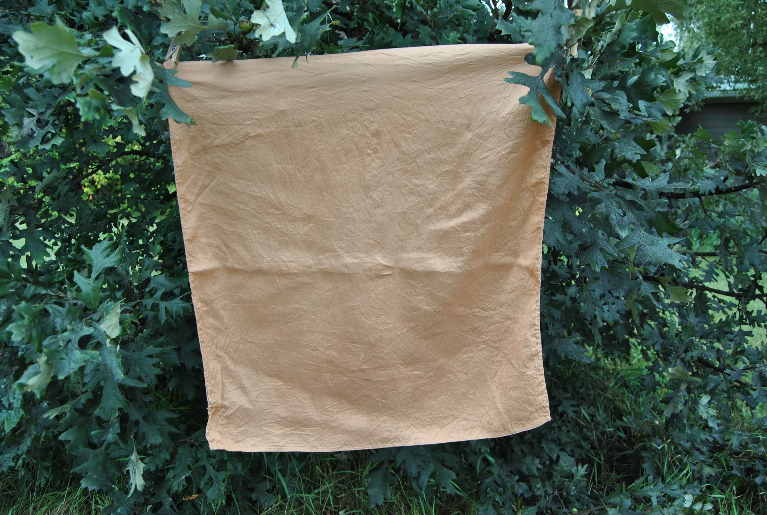 Mulberry Silk Scarf