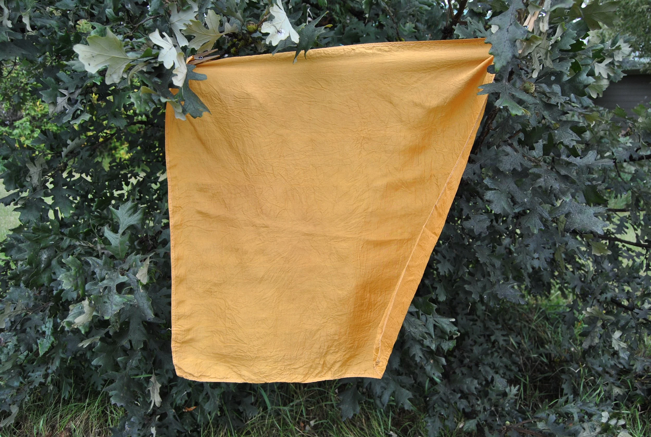 Mulberry Silk Scarf