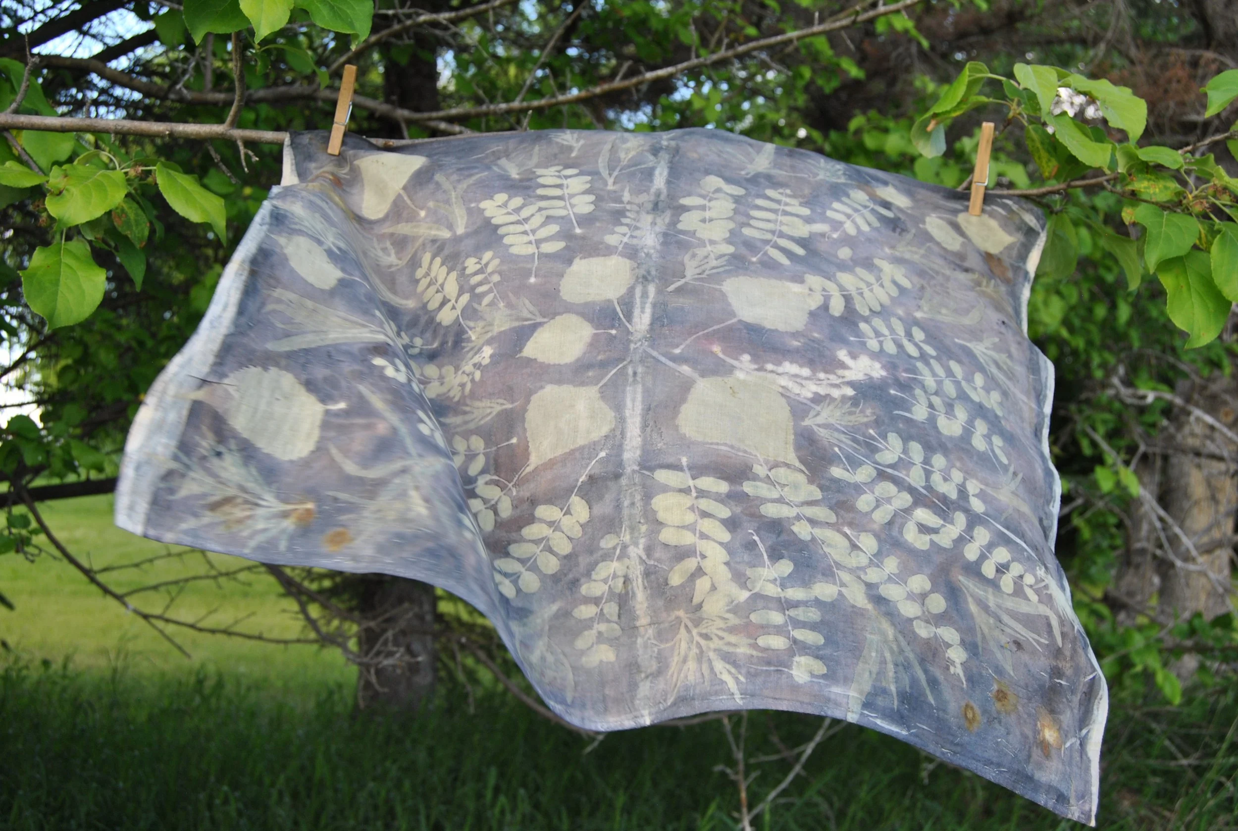 Organic Cotton Bandana