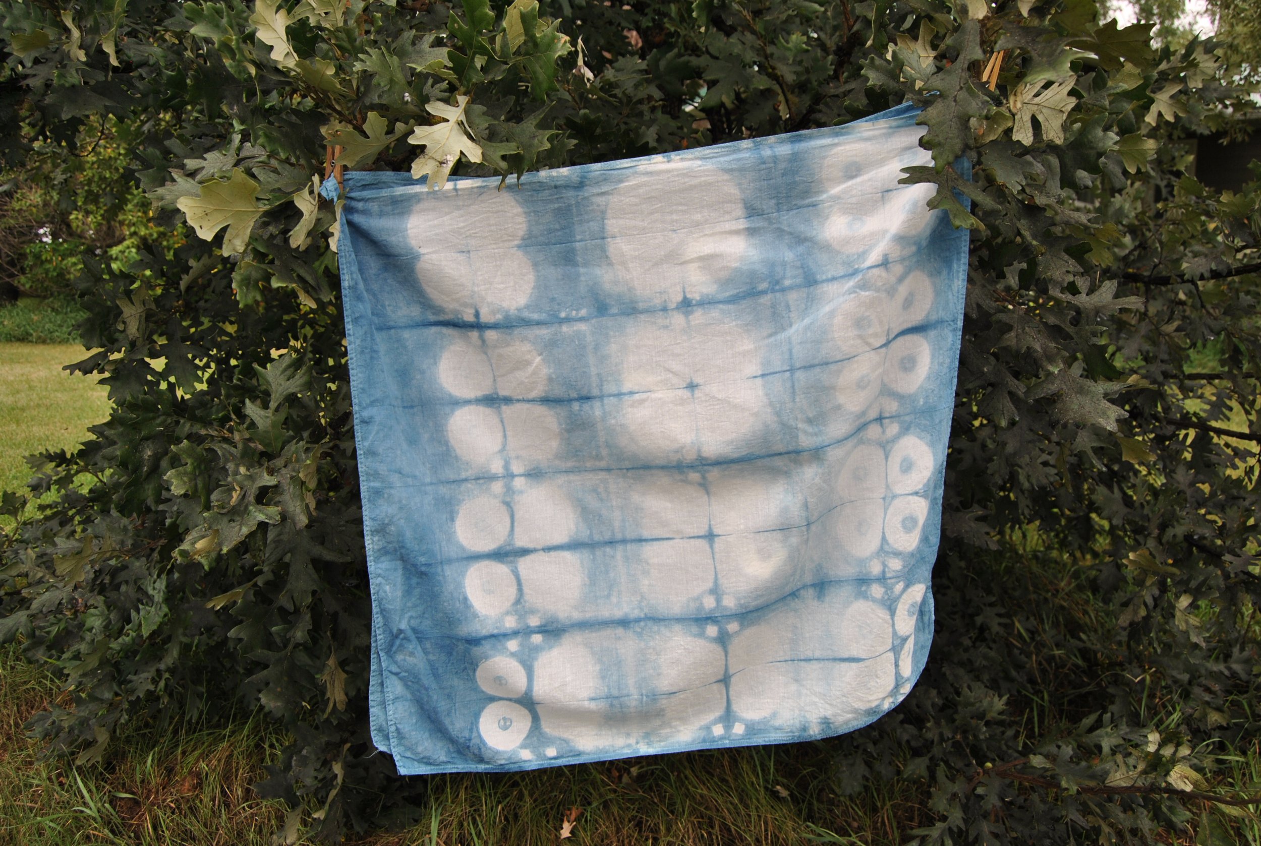 Cotton Bandana