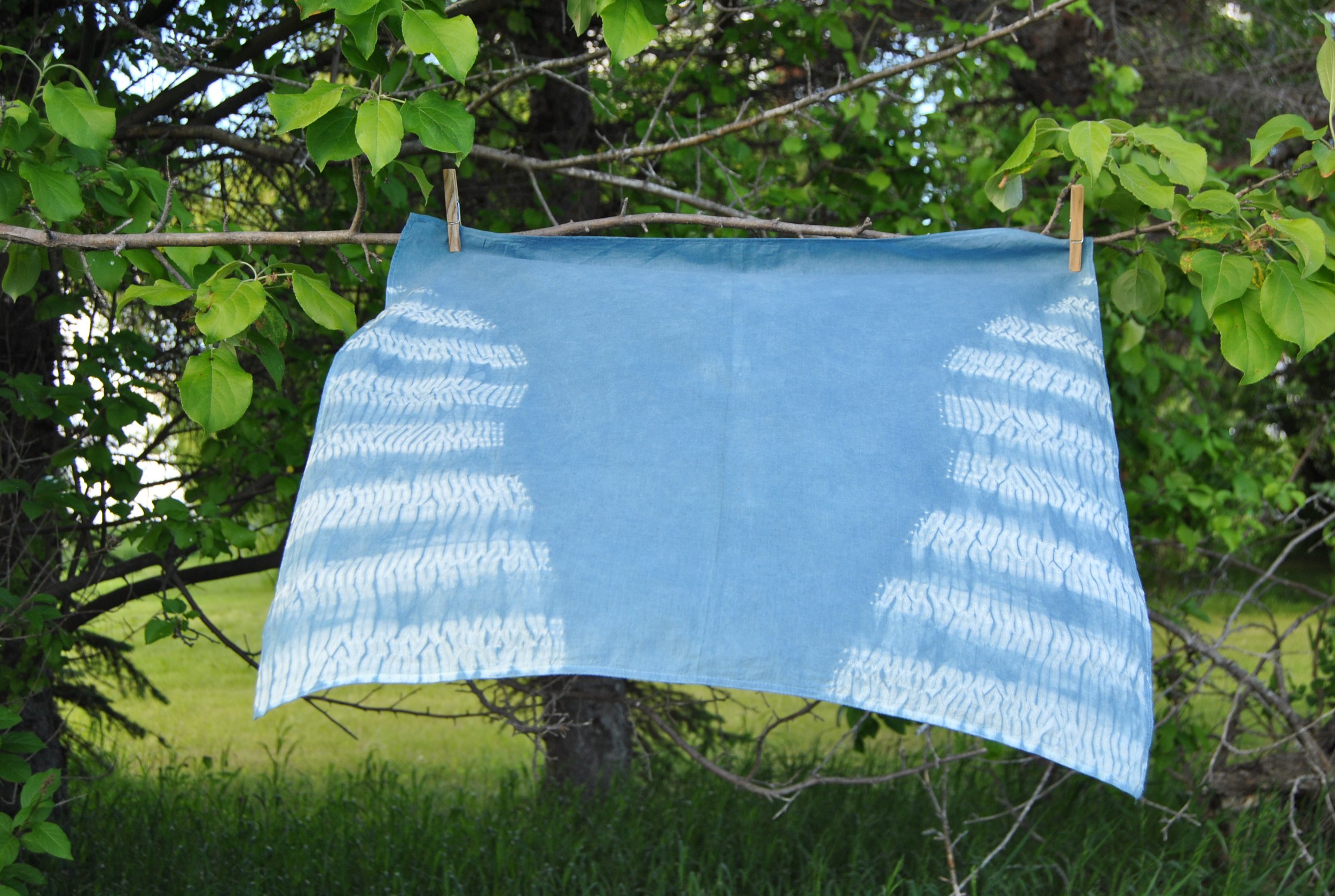 Organic Cotton Bandana