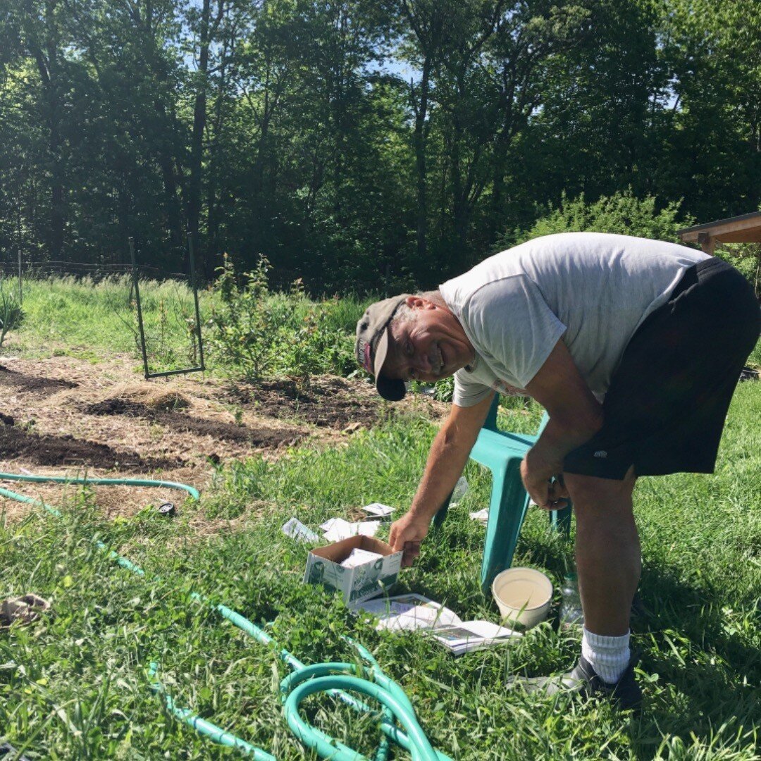 Wayno in his happy place; garden season at Apple Annie.