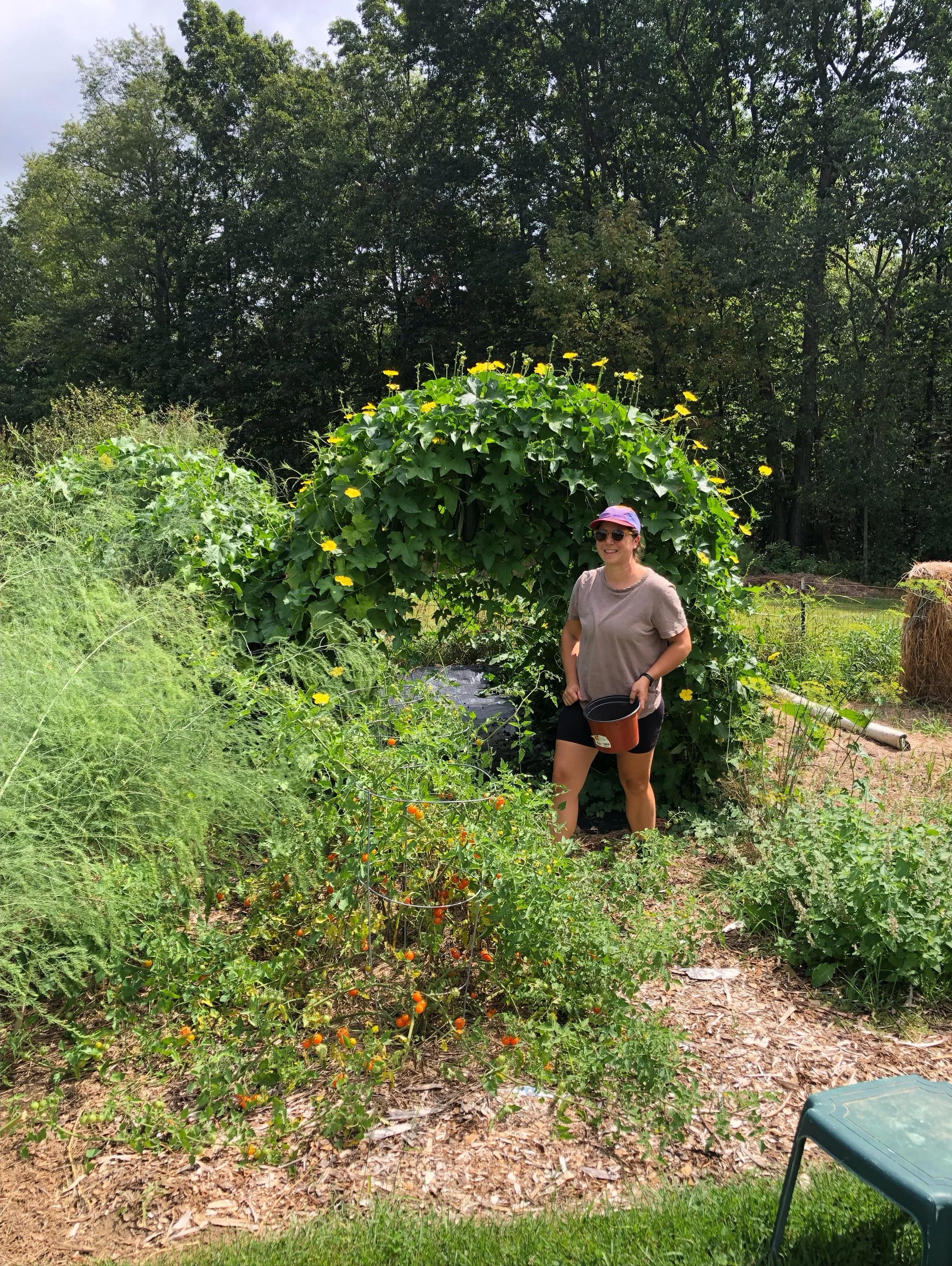 Introducing LUFFA CLUB! For people so motivated to limit plastic in their lives that they will literally grow their own sponges. Sign up and we will set you up with a healthy luffa plant and e-mails throughout the growing and processing season. We wa