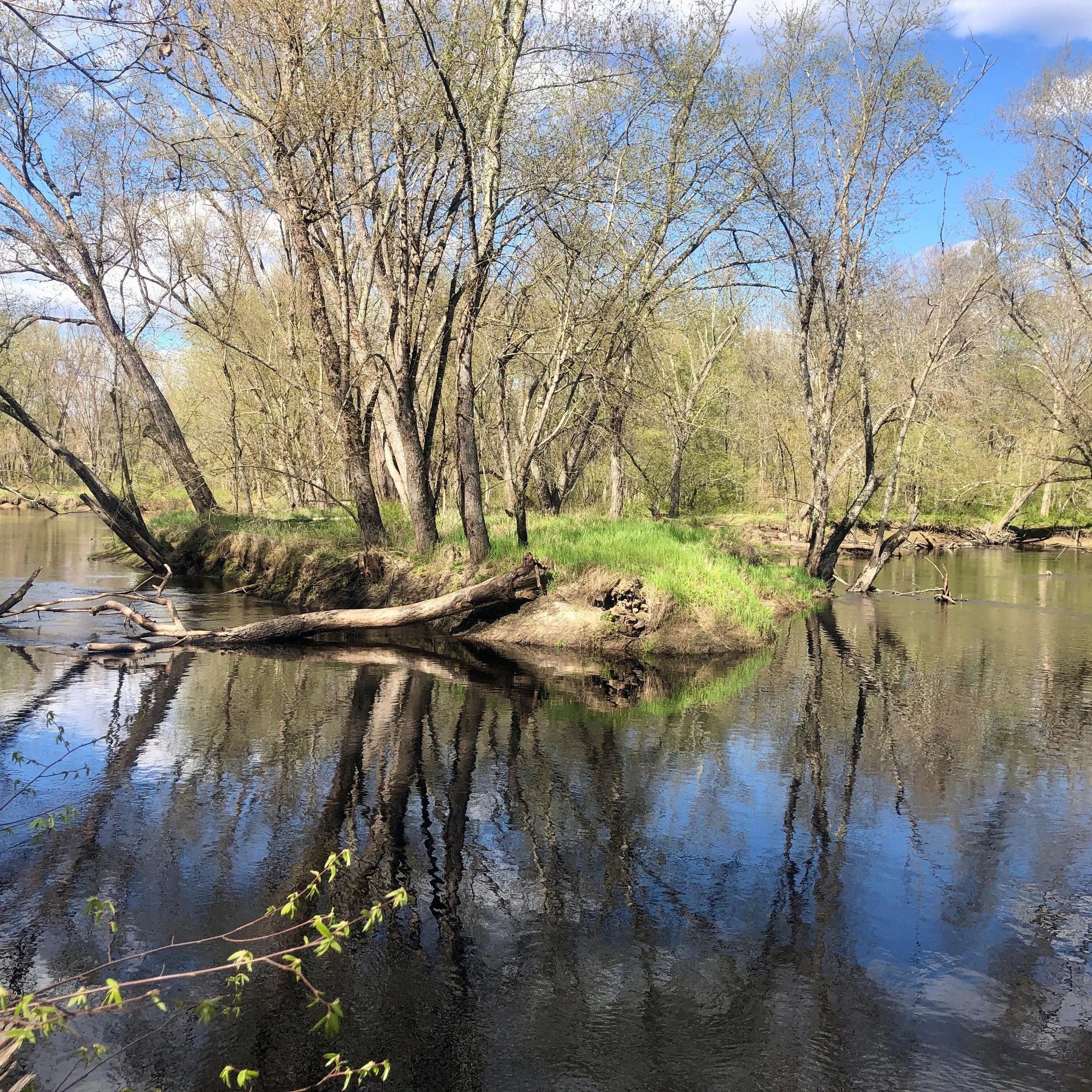Some photos from the Coverts project training that I (Emma) attended last week. Seriously, such a treat to participate! This 3 day program is led by UNH Extension wildlife and forestry specialists and is a deep dive into wildlife habitat, forest mana
