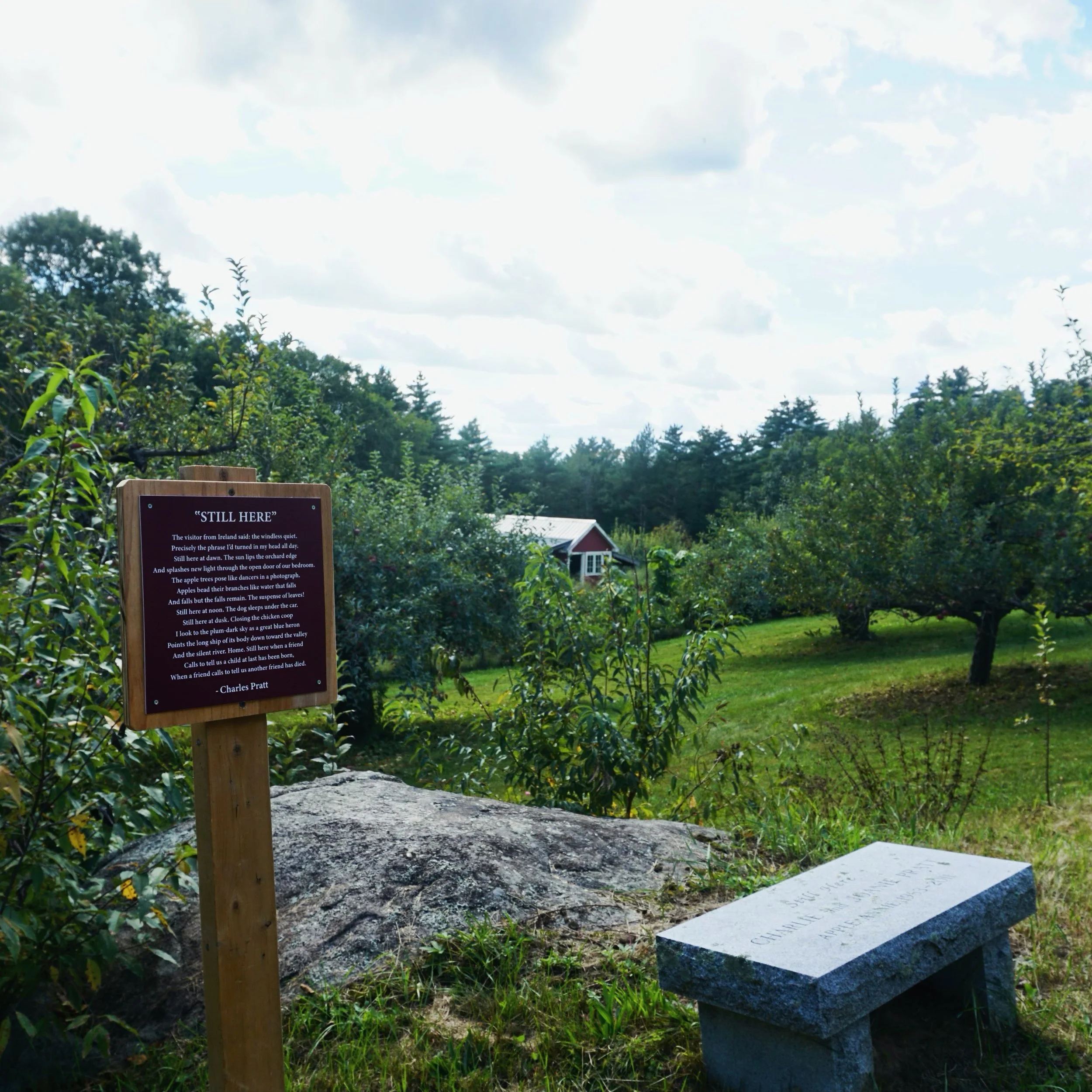 Some new things of note at Apple Annie this week:
1. Open weekends, 9 am - FIVE pm
2. Cider popsicles. Cider all the ways.
and
3. Introducing The Pratt Poetry Walk!

Before our family moved here, Joanie and Charlie Pratt lovingly tended this land and