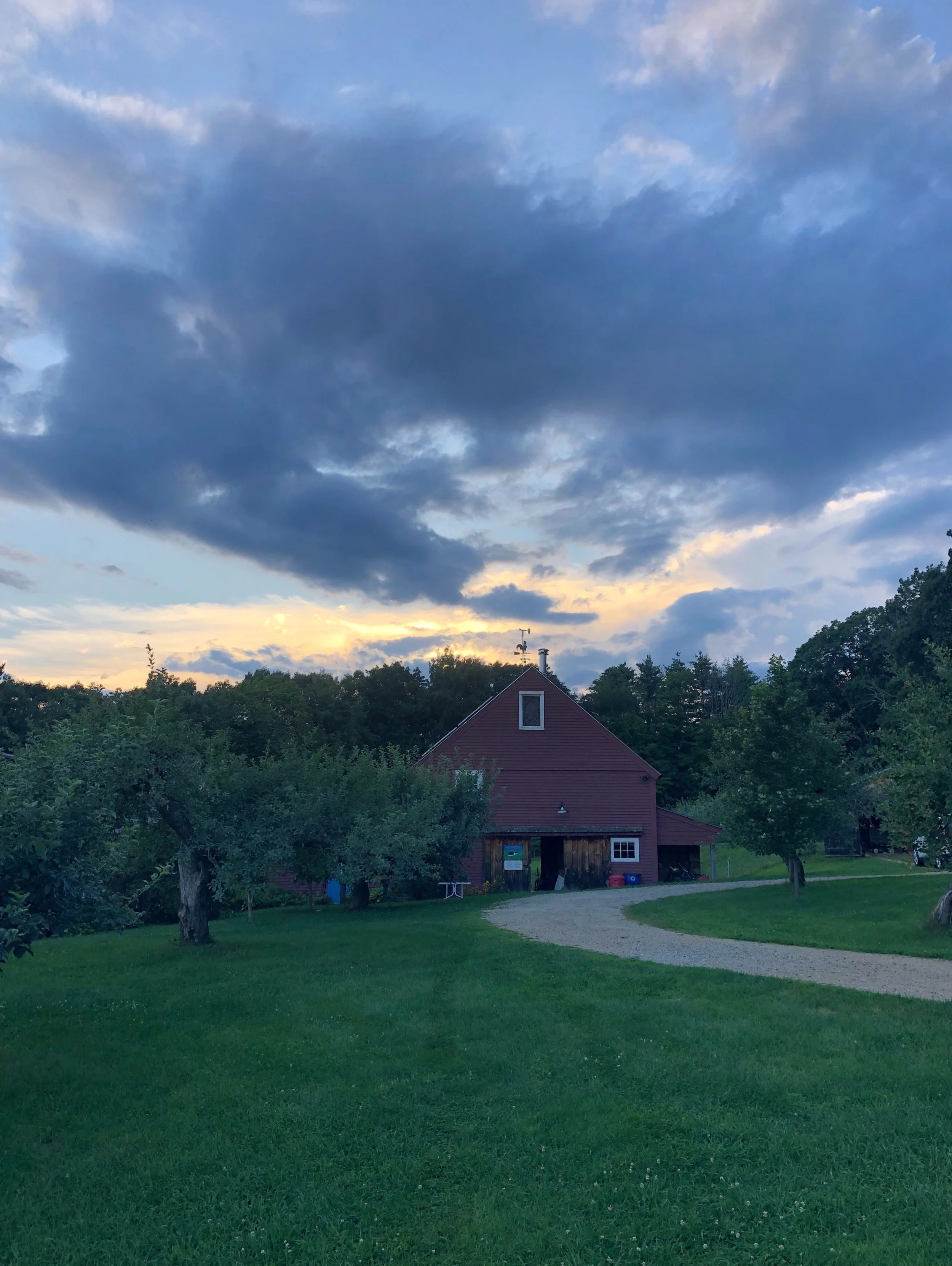 SPECIAL HOURS THIS WEEK:
Open Thursday-Sunday, 9 am - 5 pm

Now picking Liberty, Freedom, Cortland, McIntosh and Red Delicious.

And the annual Kids Makers Market is this Sunday from 1-4 pm. These creative kids would love your support!

Only a few mo