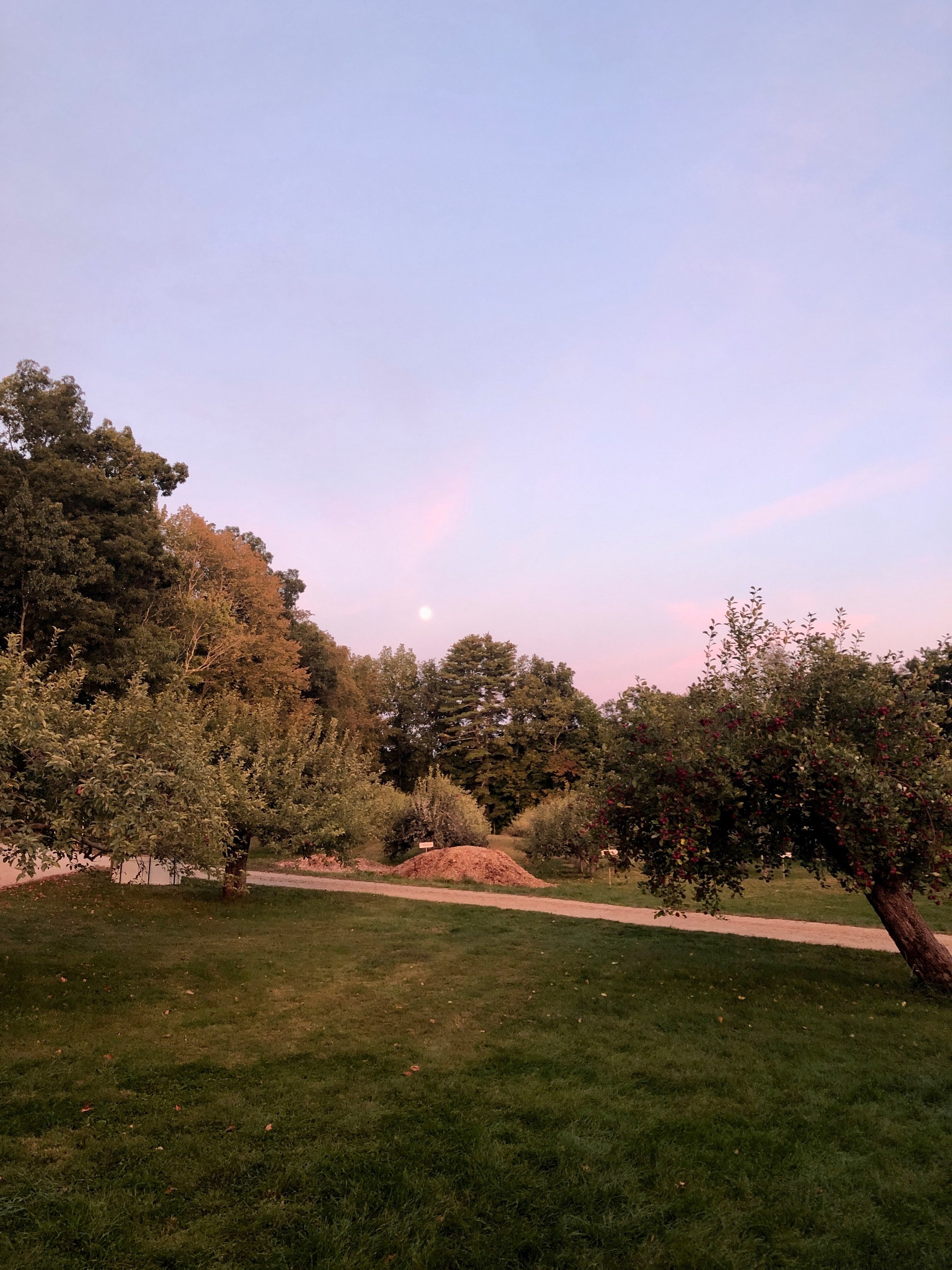 This will be our final weekend open at Apple Annie for 2026. Please know that there are very limited apples for both Pick Your Own and in the farm store.

Farm Store will be open on Saturday and Sunday from 9 am - 4 pm. Last chance to stop by for all