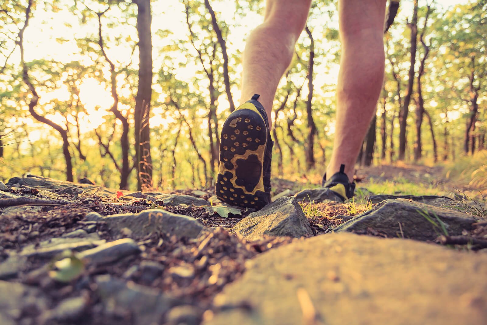 A person walks along a peaceful forest trail, symbolizing healing, progress, and self-leadership. Through IFS therapy St Paul, MN, individuals often learn to move forward with greater awareness with an IFS therapist in Saint Paul, MN