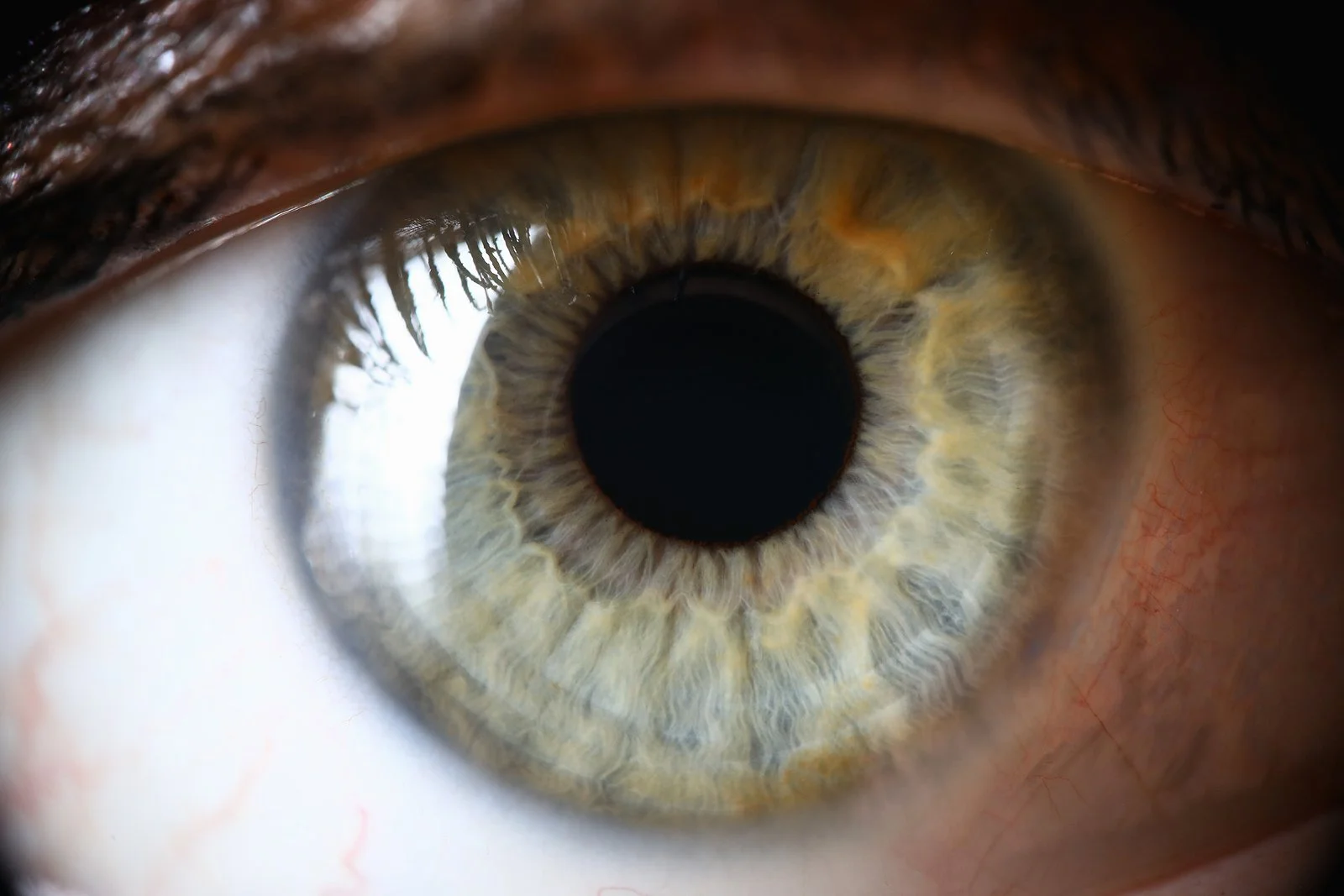 Dangers of EMDR Therapy
