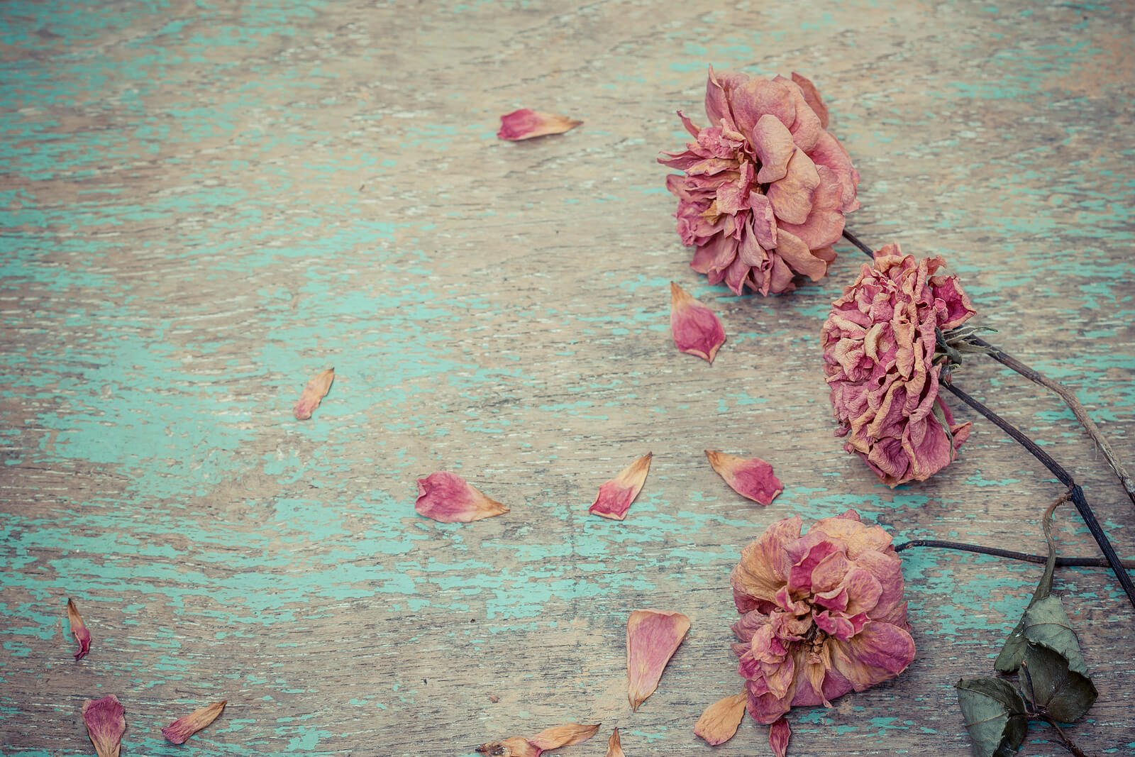 When Grief Is Complicated: Navigating Mother’s Day After the Death of a Difficult or Harmful Mother