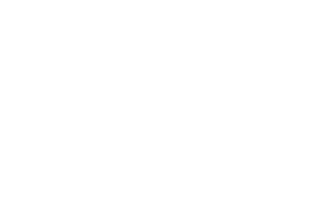 13.png