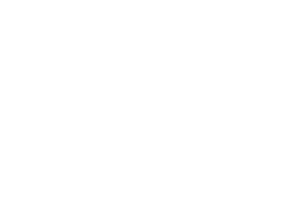 17.png