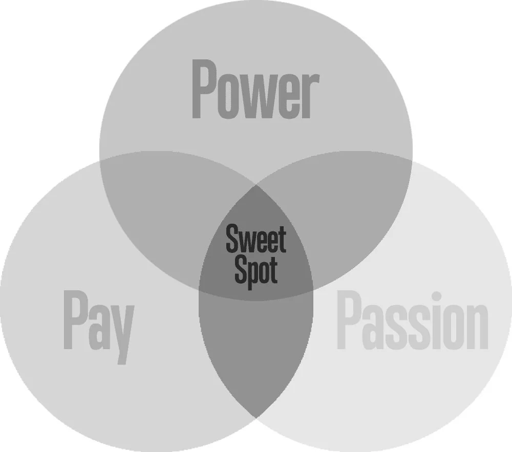 Finding Your Niche - A Venn Diagram